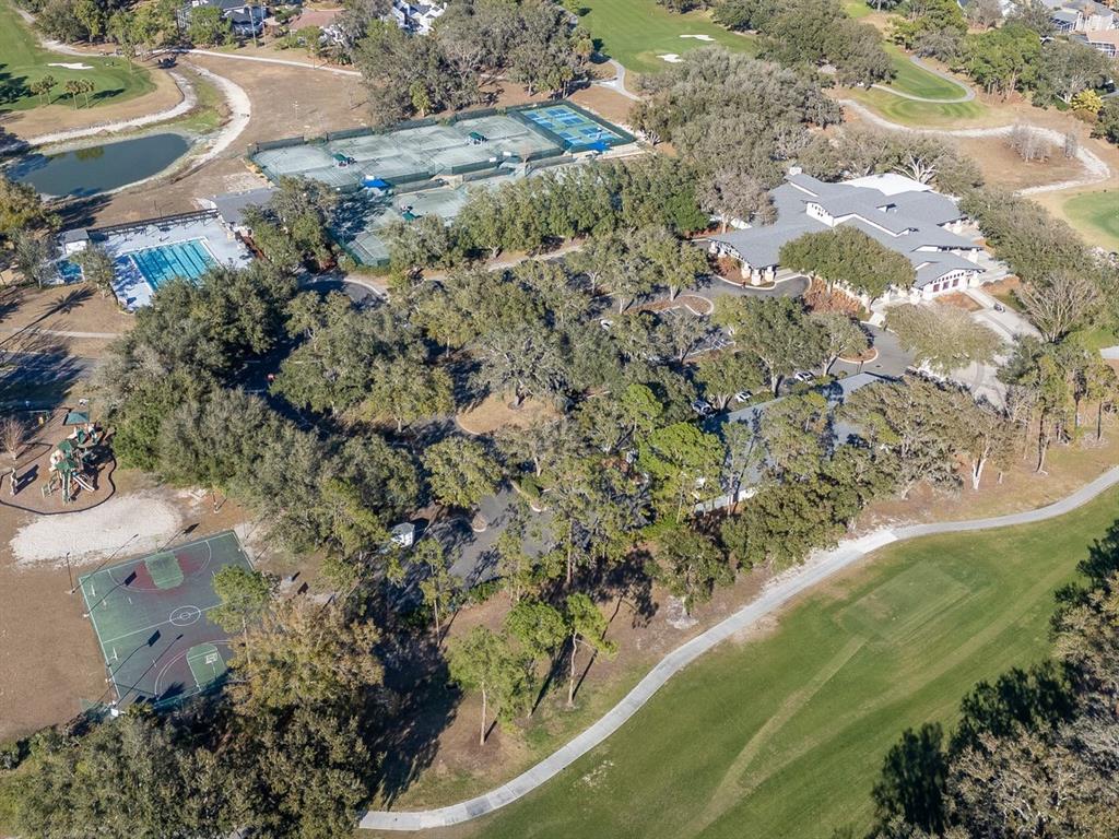 3910 Turkey Oak Drive Valrico, FL 33596 - Photo 55 of 63