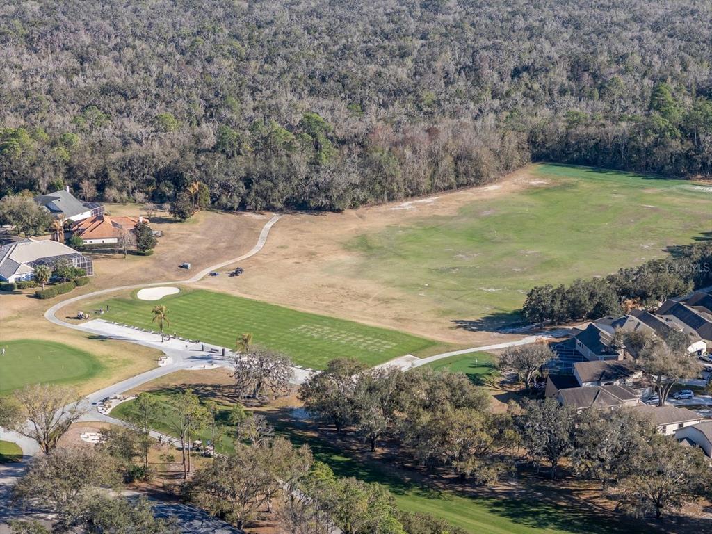 3910 Turkey Oak Drive Valrico, FL 33596 - Photo 58 of 63