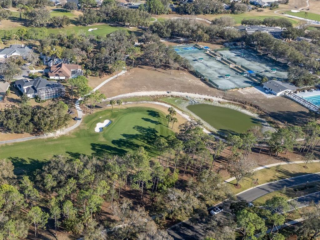 3910 Turkey Oak Drive Valrico, FL 33596 - Photo 60 of 63