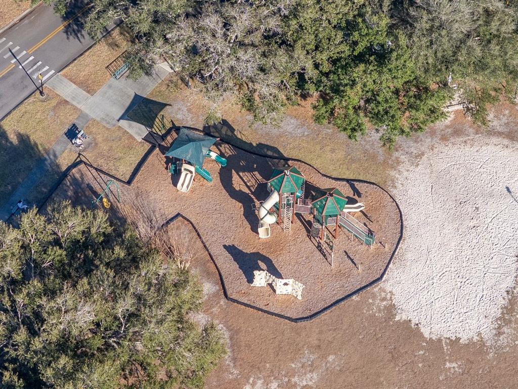 3910 Turkey Oak Drive Valrico, FL 33596 - Photo 61 of 63