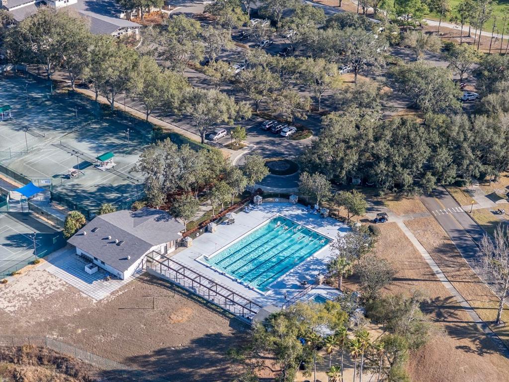 3910 Turkey Oak Drive Valrico, FL 33596 - Photo 62 of 63