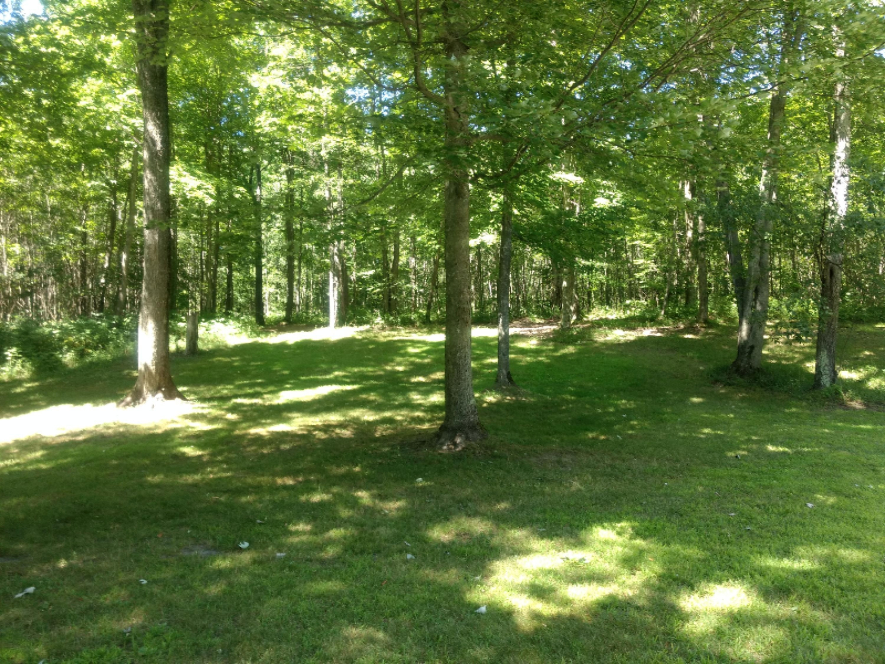 19031 Lagerquist Road Brethren, MI 49619 - Photo 36 of 43 IMG_20190819_133742509