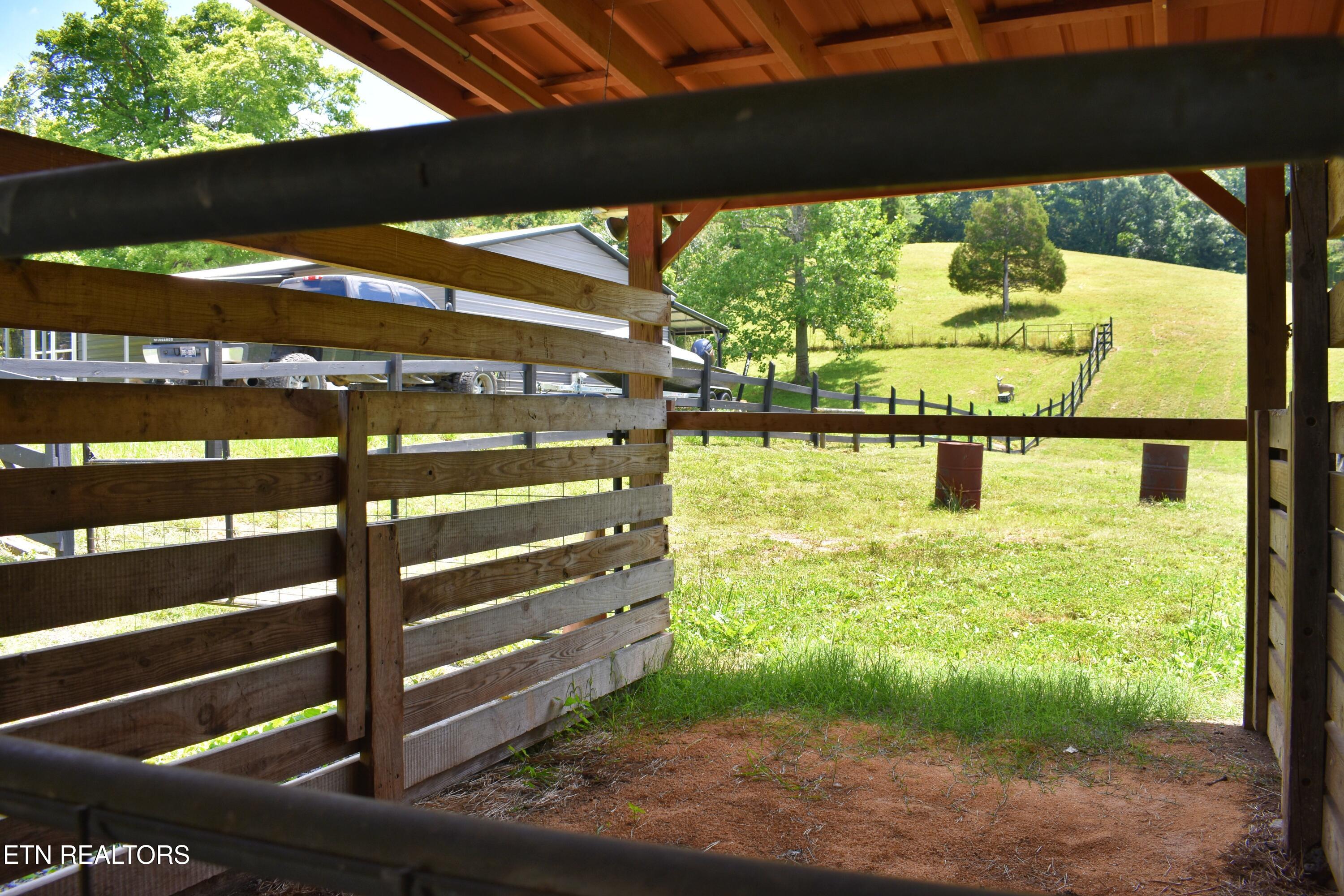 1319 Ideal Valley Road Spring City, TN 37381 - Photo 13 of 49 DSC_0734