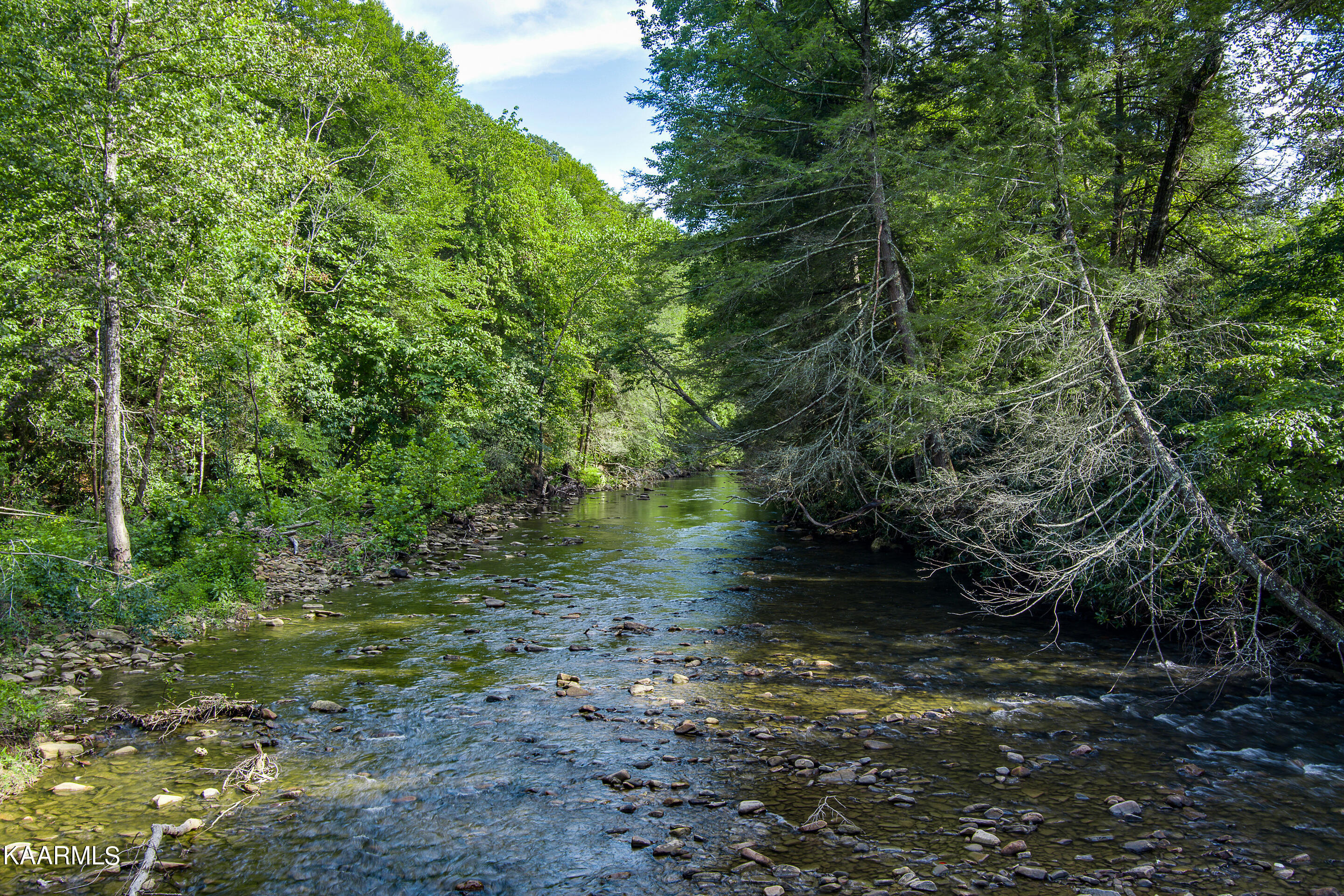 mls-East Fork Obey River-041_TNPC