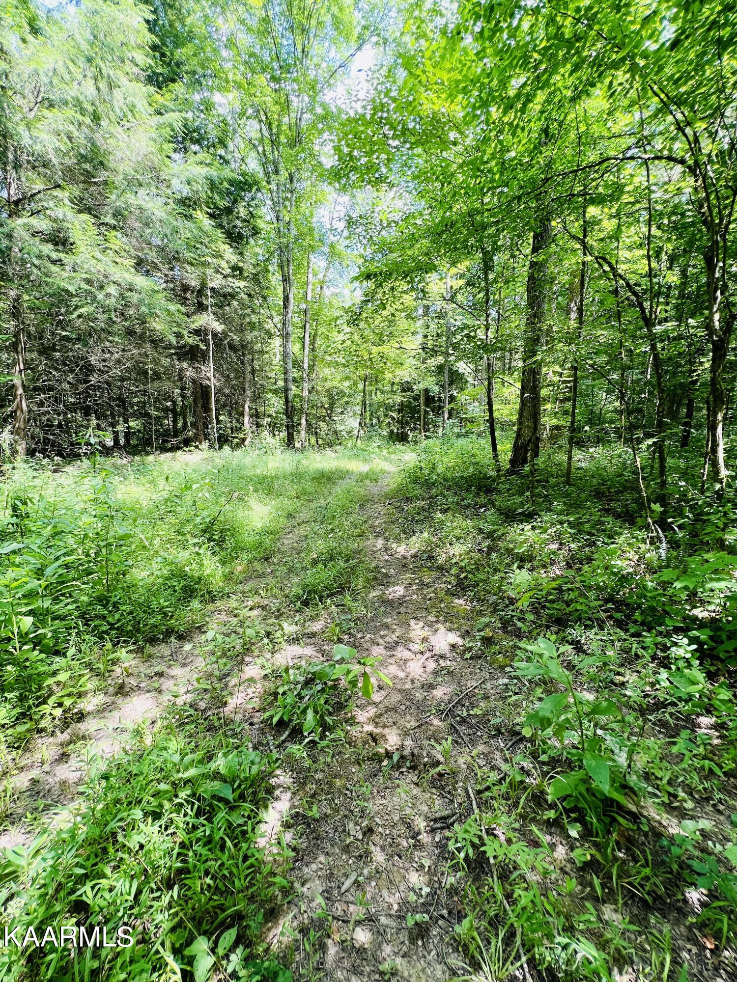 East Fork Crawford, TN 38554 - Photo 11 of 20 C7422CCC-DCC5-4B33-BF51-9D34EB2B7CED