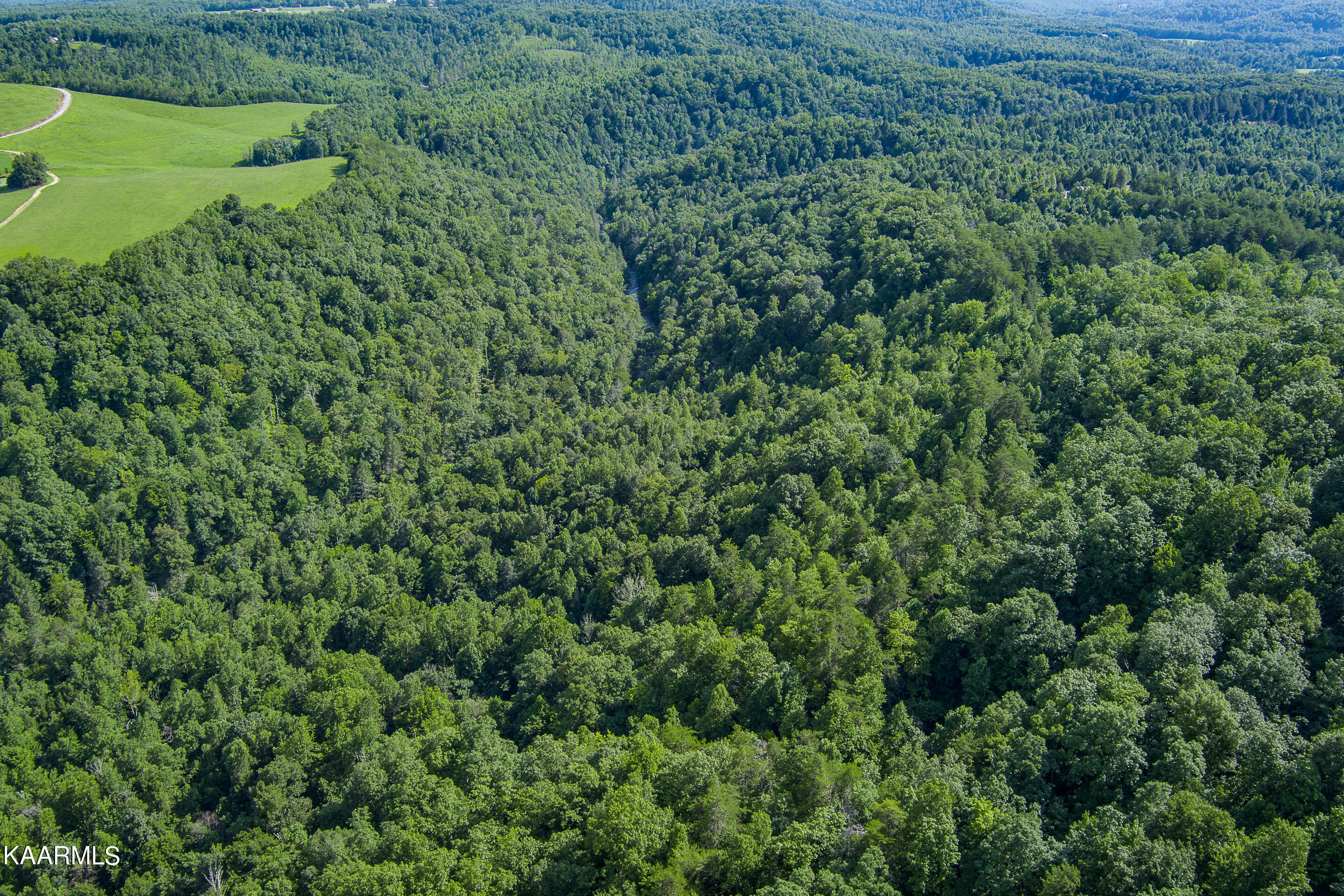 East Fork Crawford, TN 38554 - Photo 13 of 20 mls-East Fork Obey River-014_TNPC