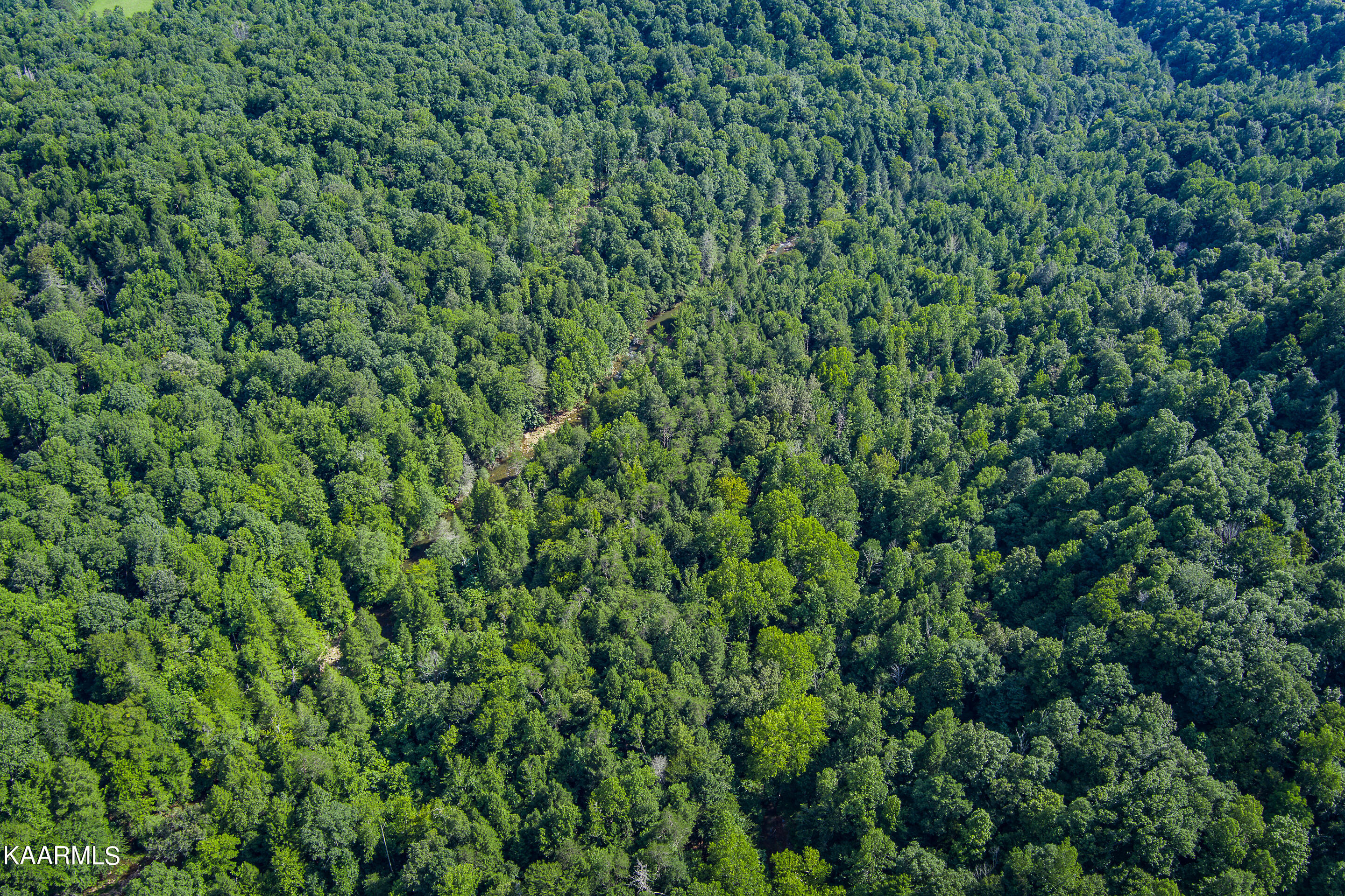 East Fork Crawford, TN 38554 - Photo 14 of 20 mls-East Fork Obey River-012_TNPC