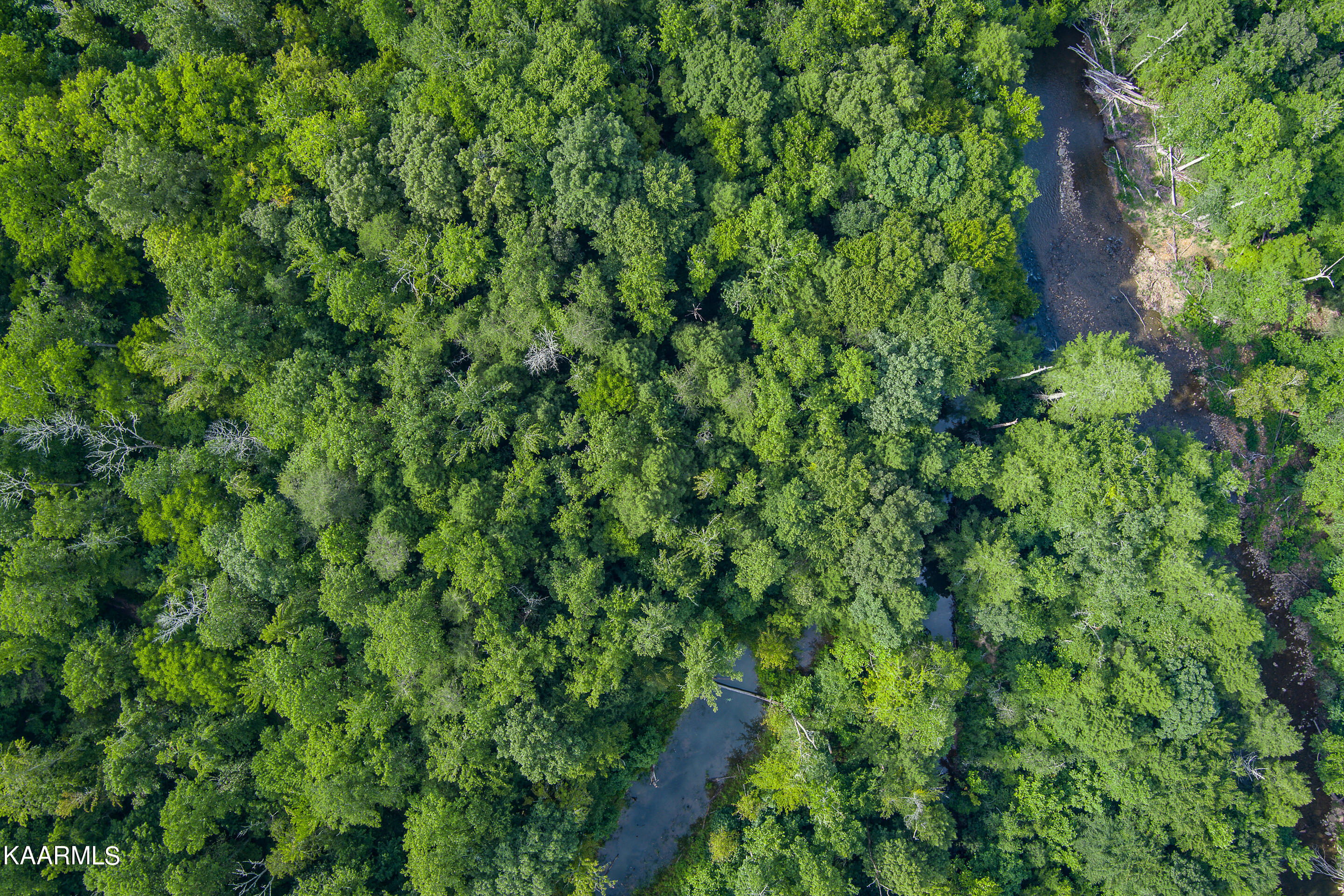 East Fork Crawford, TN 38554 - Photo 16 of 20 mls-East Fork Obey River-037_TNPC