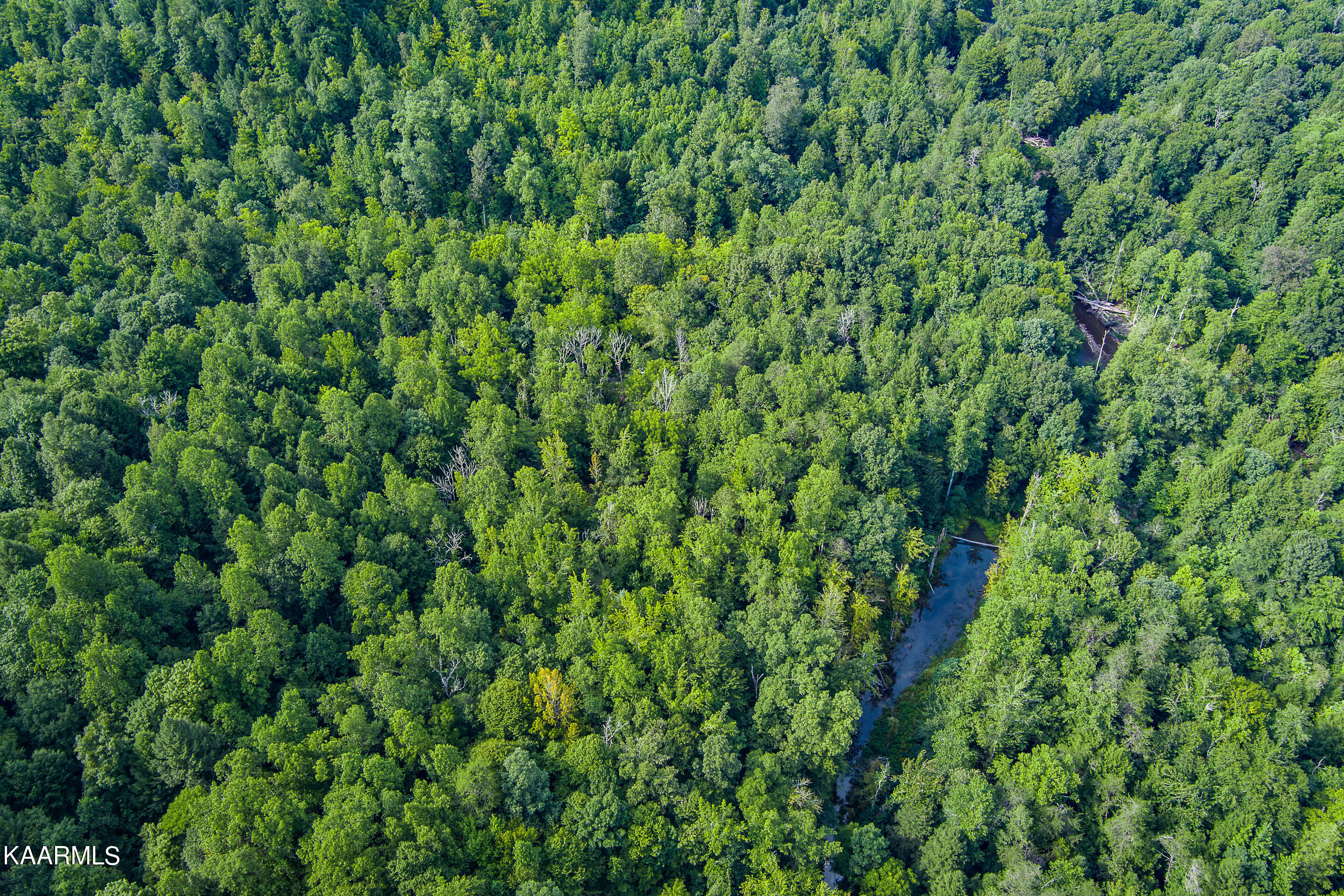 East Fork Crawford, TN 38554 - Photo 17 of 20 mls-East Fork Obey River-036_TNPC