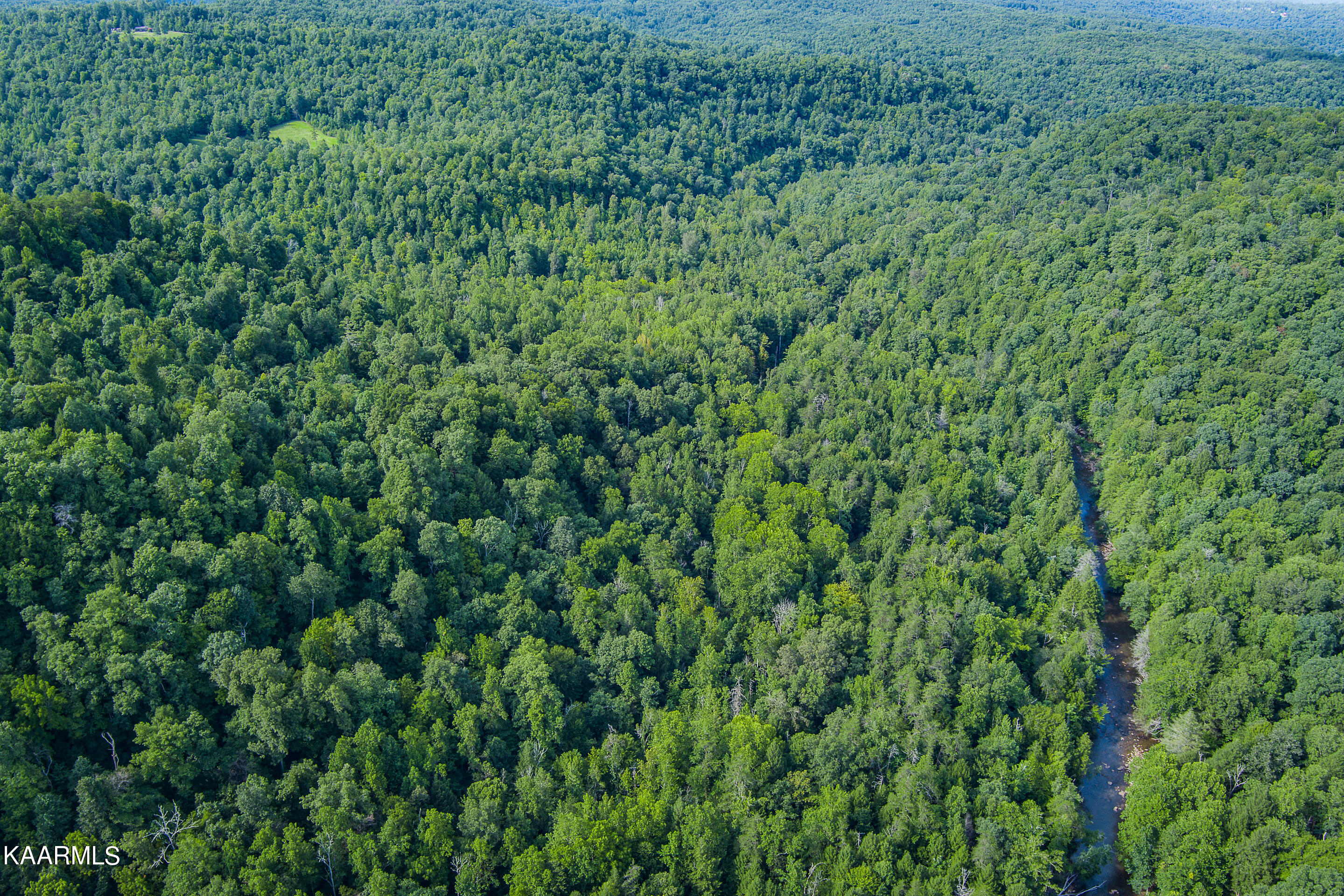 East Fork Crawford, TN 38554 - Photo 18 of 20 mls-East Fork Obey River-032_TNPC