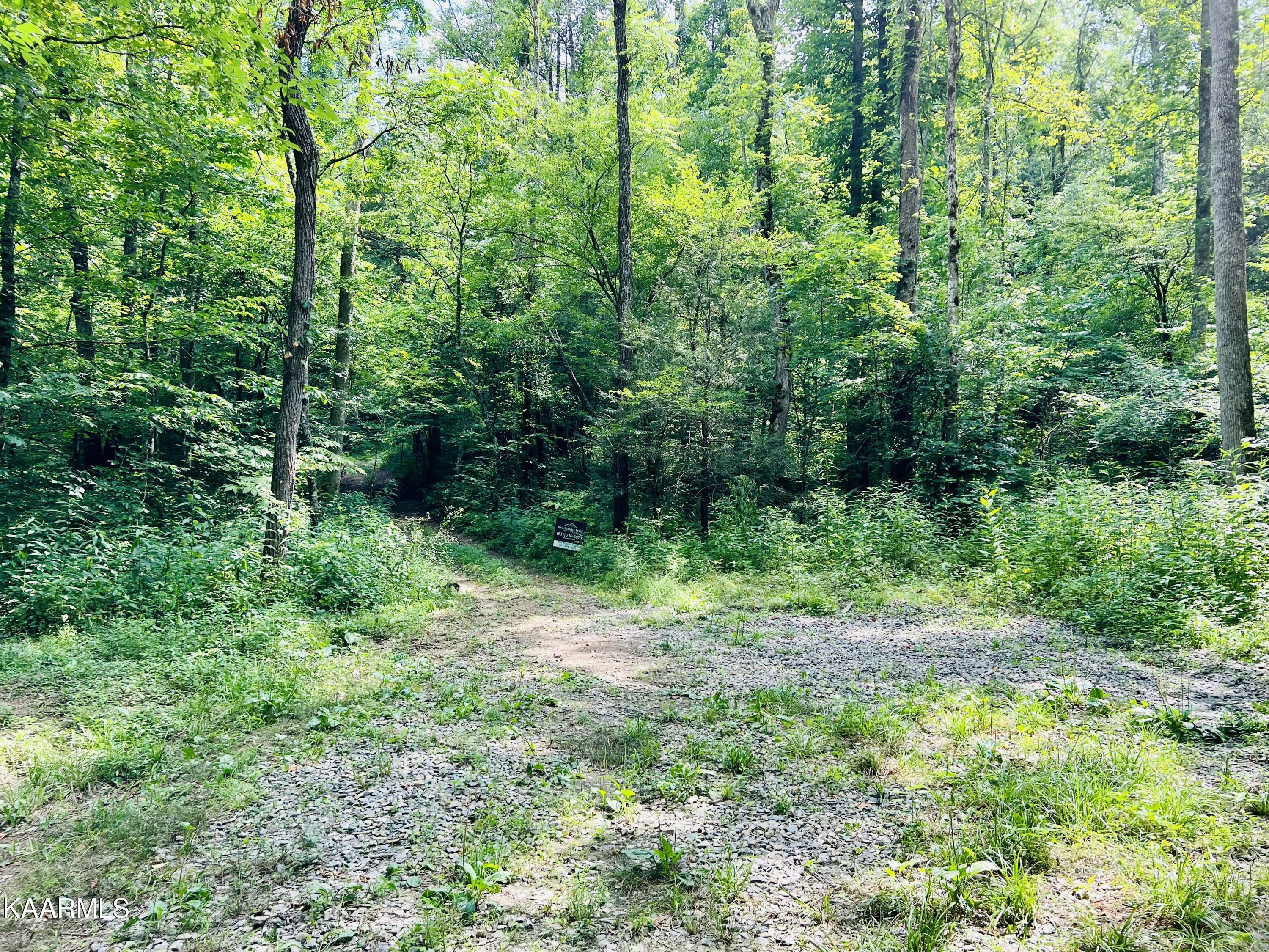 East Fork Crawford, TN 38554 - Photo 7 of 20 E367D38B-774E-410F-9FA4-1AEDBDAE0DEE