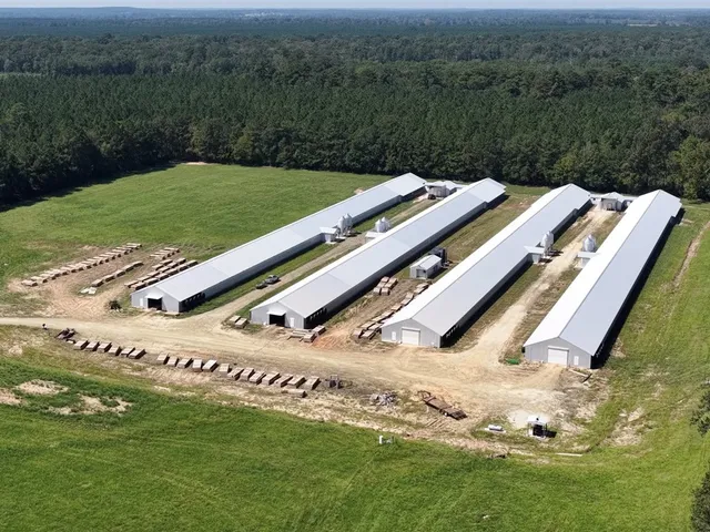 a view of a garden with a bench