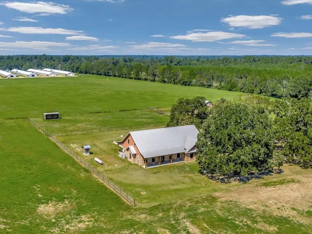 a view of a field with an ocean