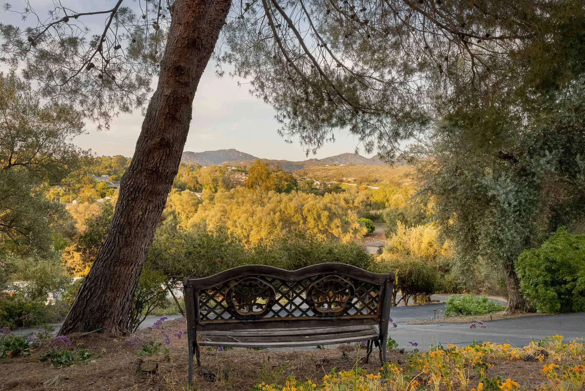 13995 Belvedere Drive Poway, CA 92064 - Photo 36 of 54 a view of a yard with iron fence