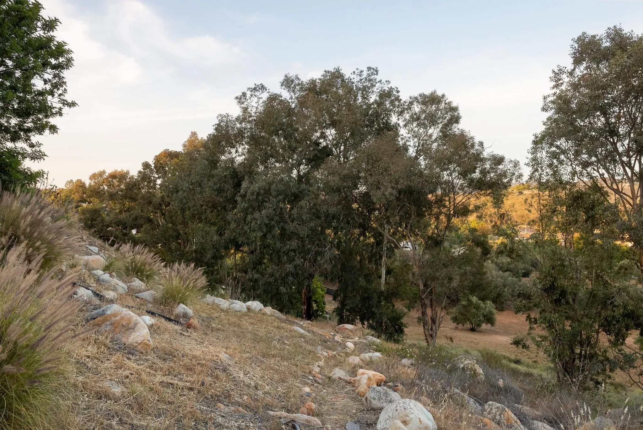 13995 Belvedere Drive Poway, CA 92064 - Photo 40 of 54 a view of a yard with a tree