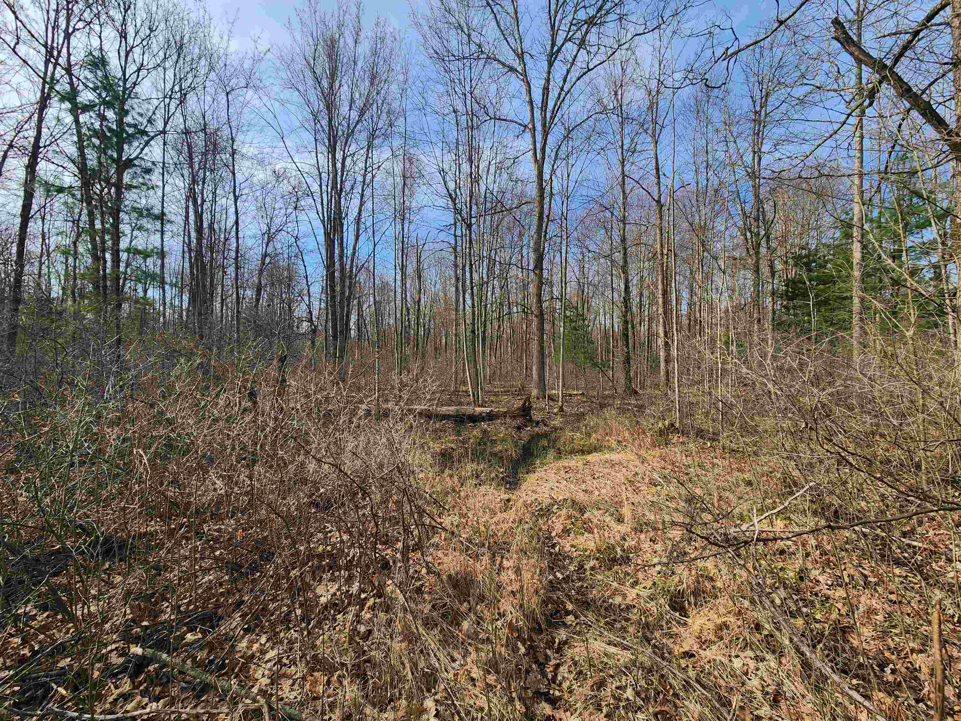 V/l West Howard Road Gladwin, MI 48624 - Photo 9 of 10