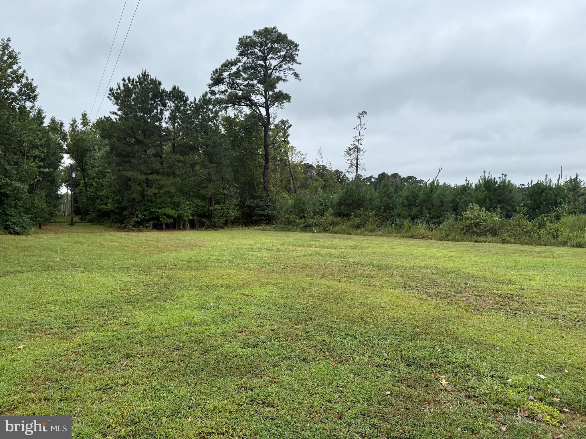 6028 Cornstack Road Marion Station, MD 21838 - Photo 13 of 13 a view of a field with trees in the background