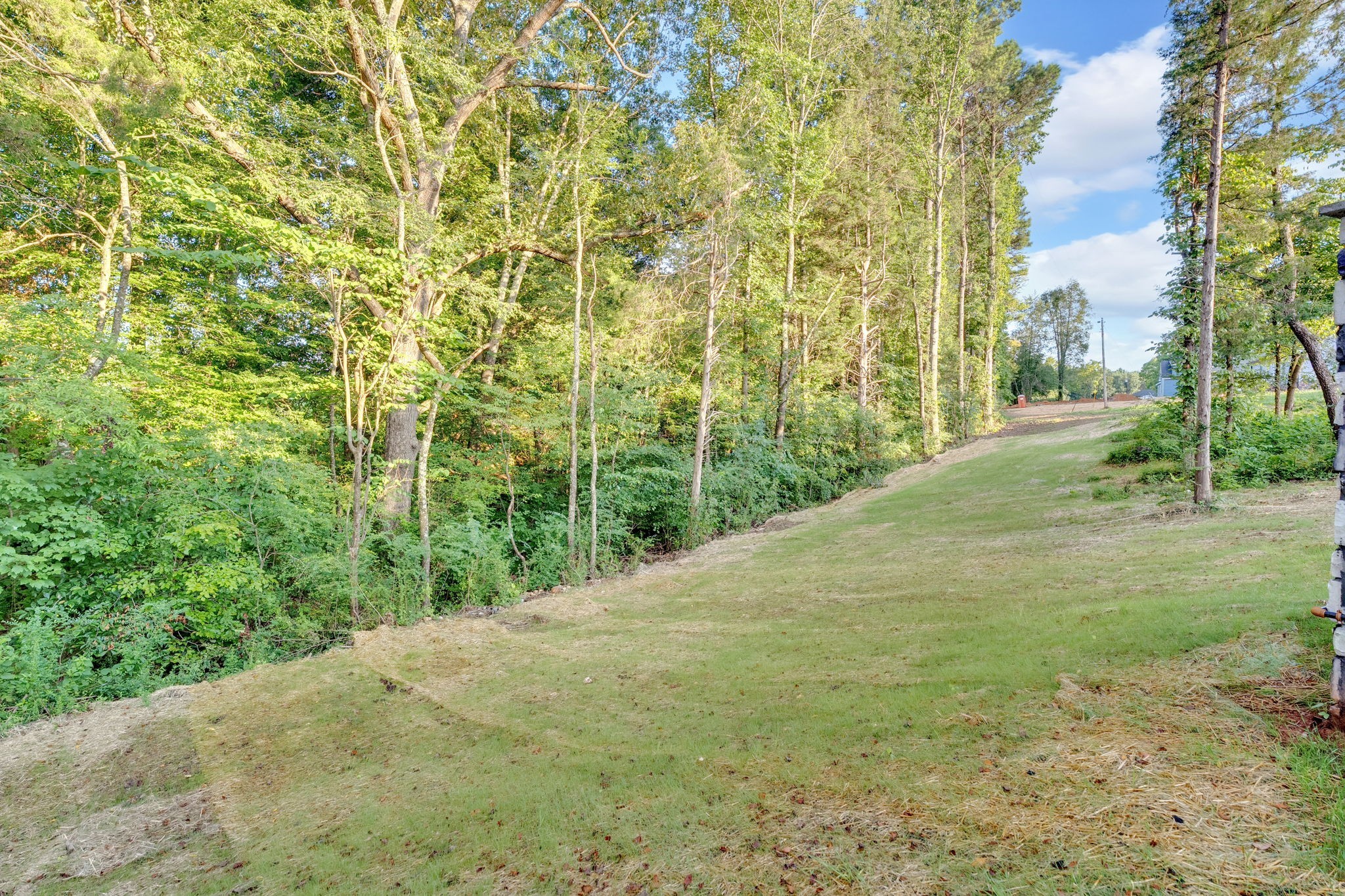 92 Ghea Road Normandy, TN 37360 - Photo 13 of 52 a view of a yard with a trees