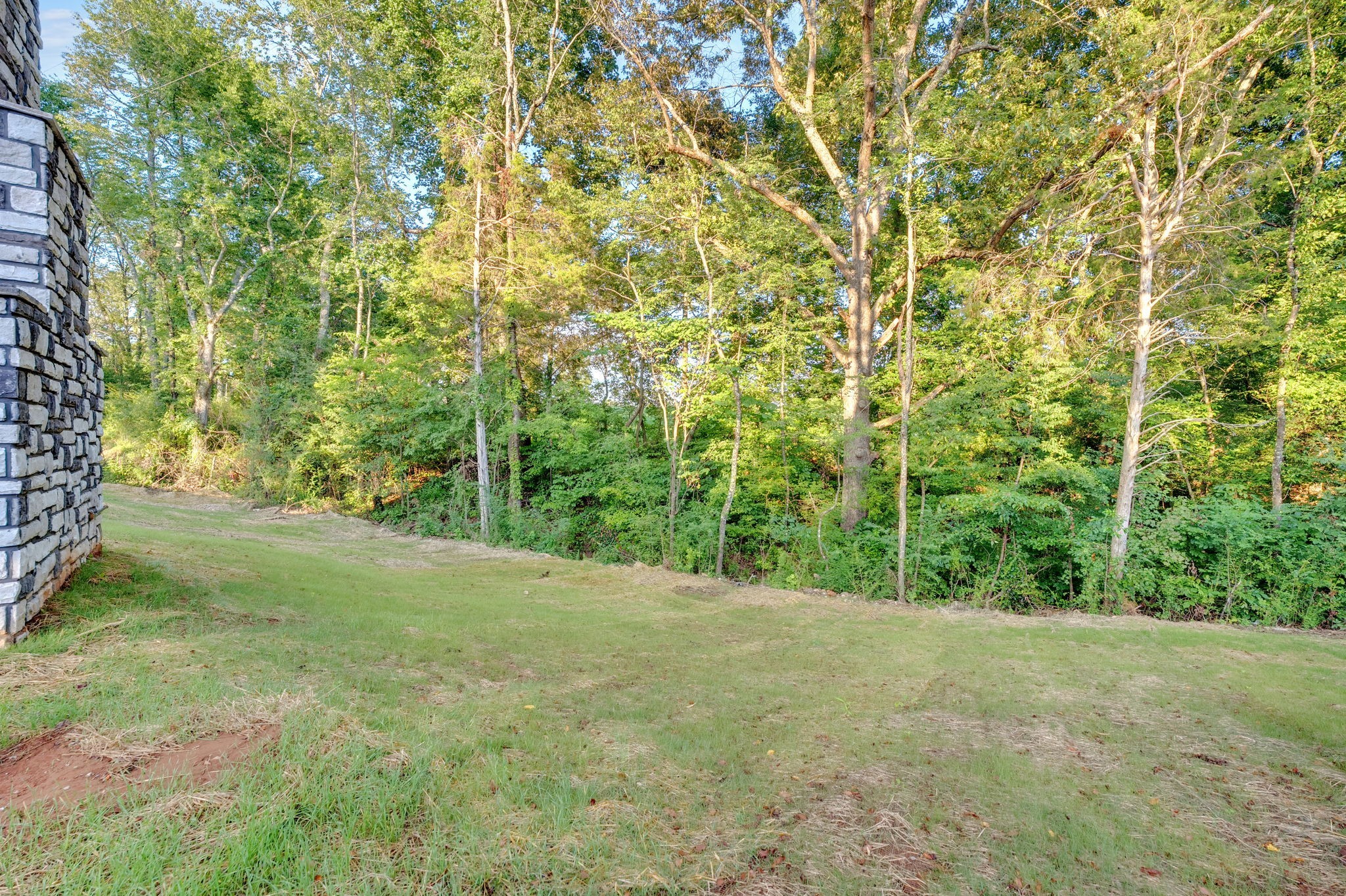 92 Ghea Road Normandy, TN 37360 - Photo 14 of 52 a view of a big yard with plants and large trees