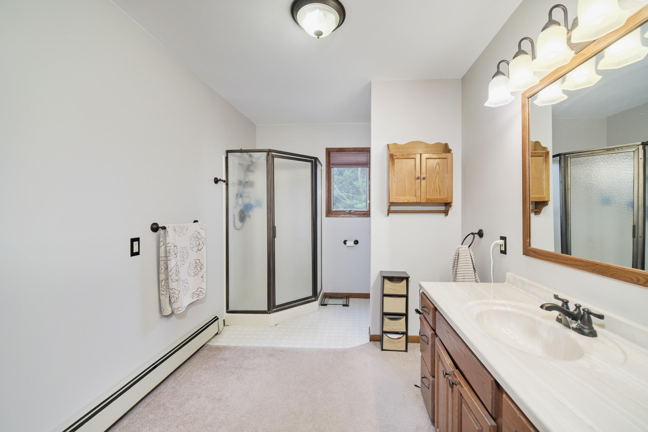 1379 Brown Road Manistee, MI 49660 - Photo 22 of 57 Primary Bathroom