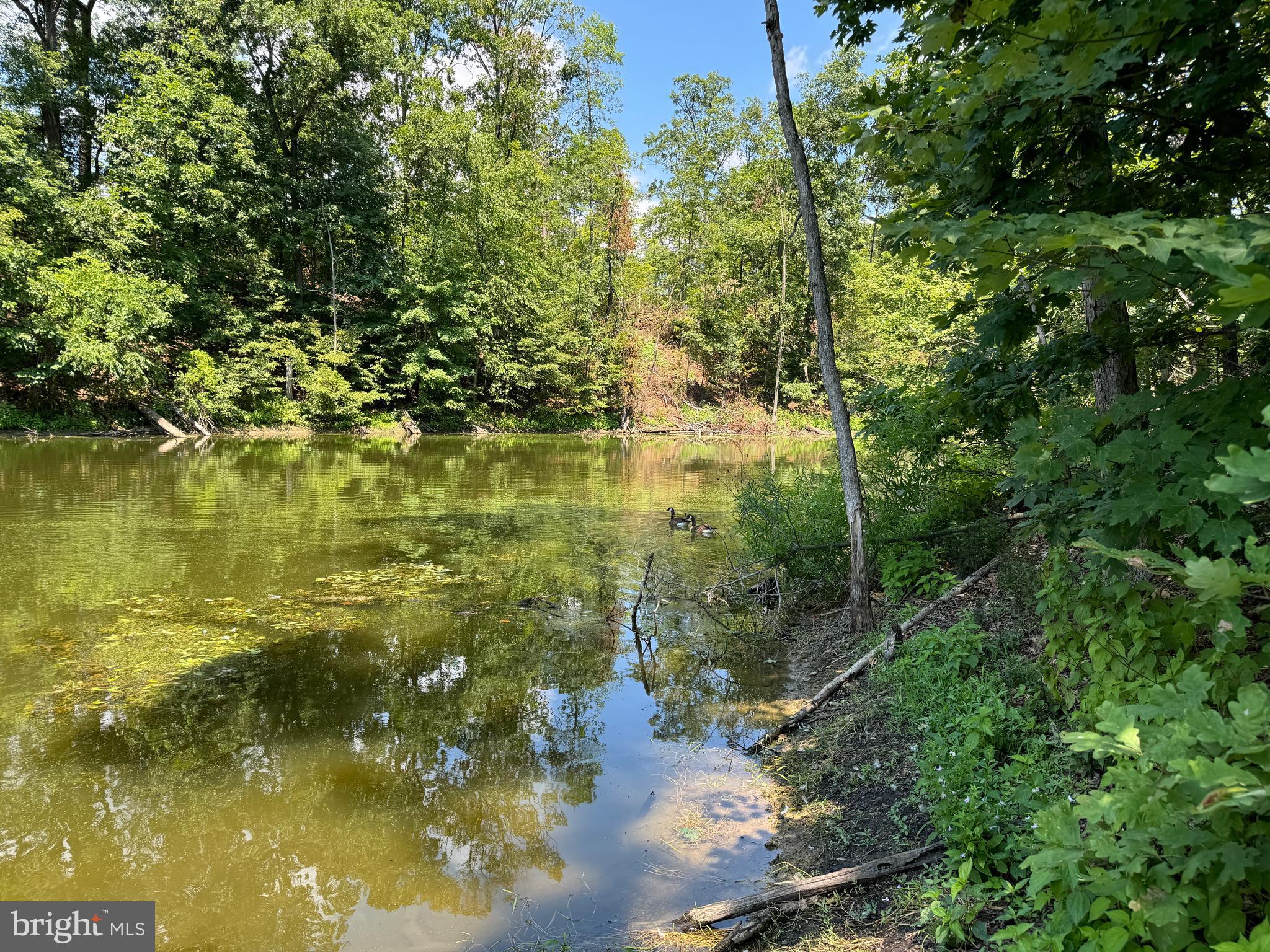 34 /- Acres Warm Spring Road Chambersburg, PA 17202 - Photo 26 of 94