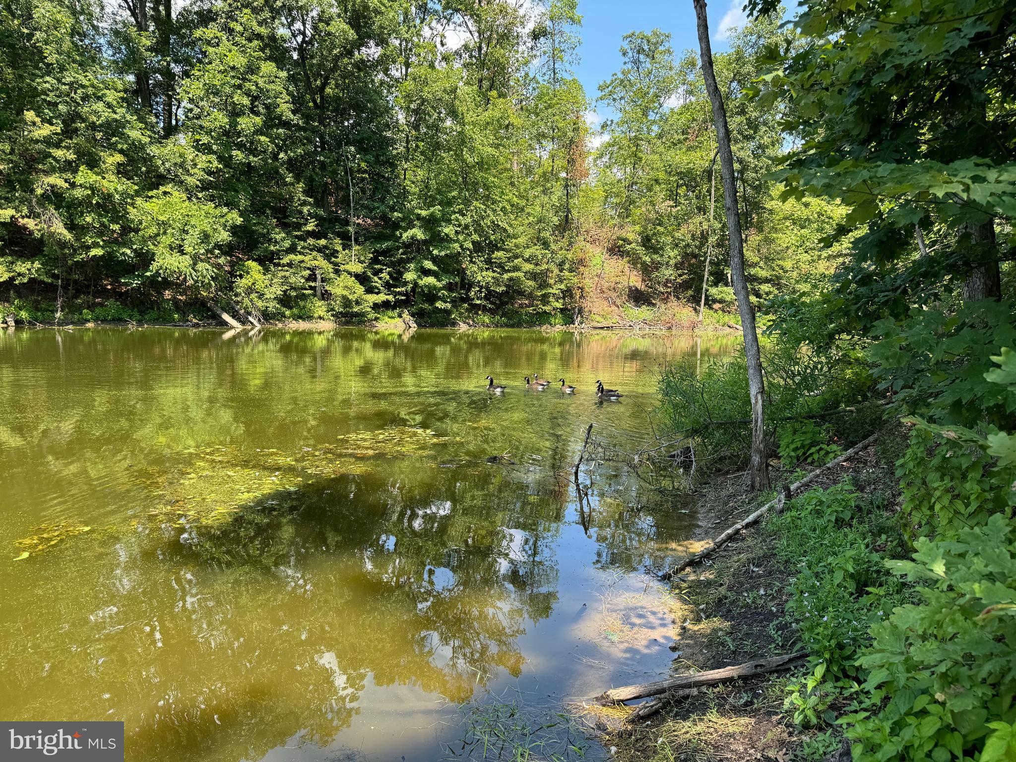 34 /- Acres Warm Spring Road Chambersburg, PA 17202 - Photo 27 of 94