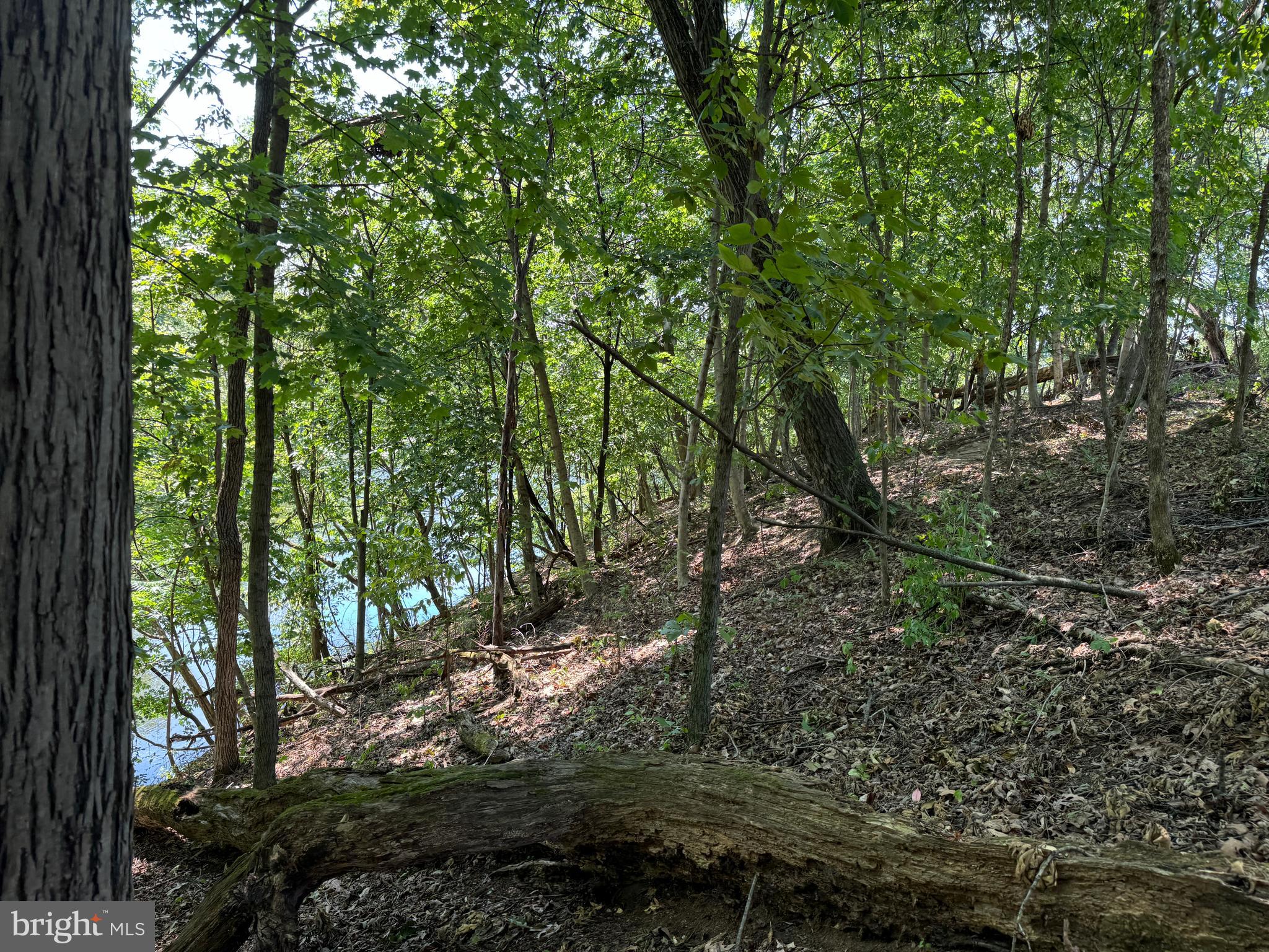 34 /- Acres Warm Spring Road Chambersburg, PA 17202 - Photo 35 of 94