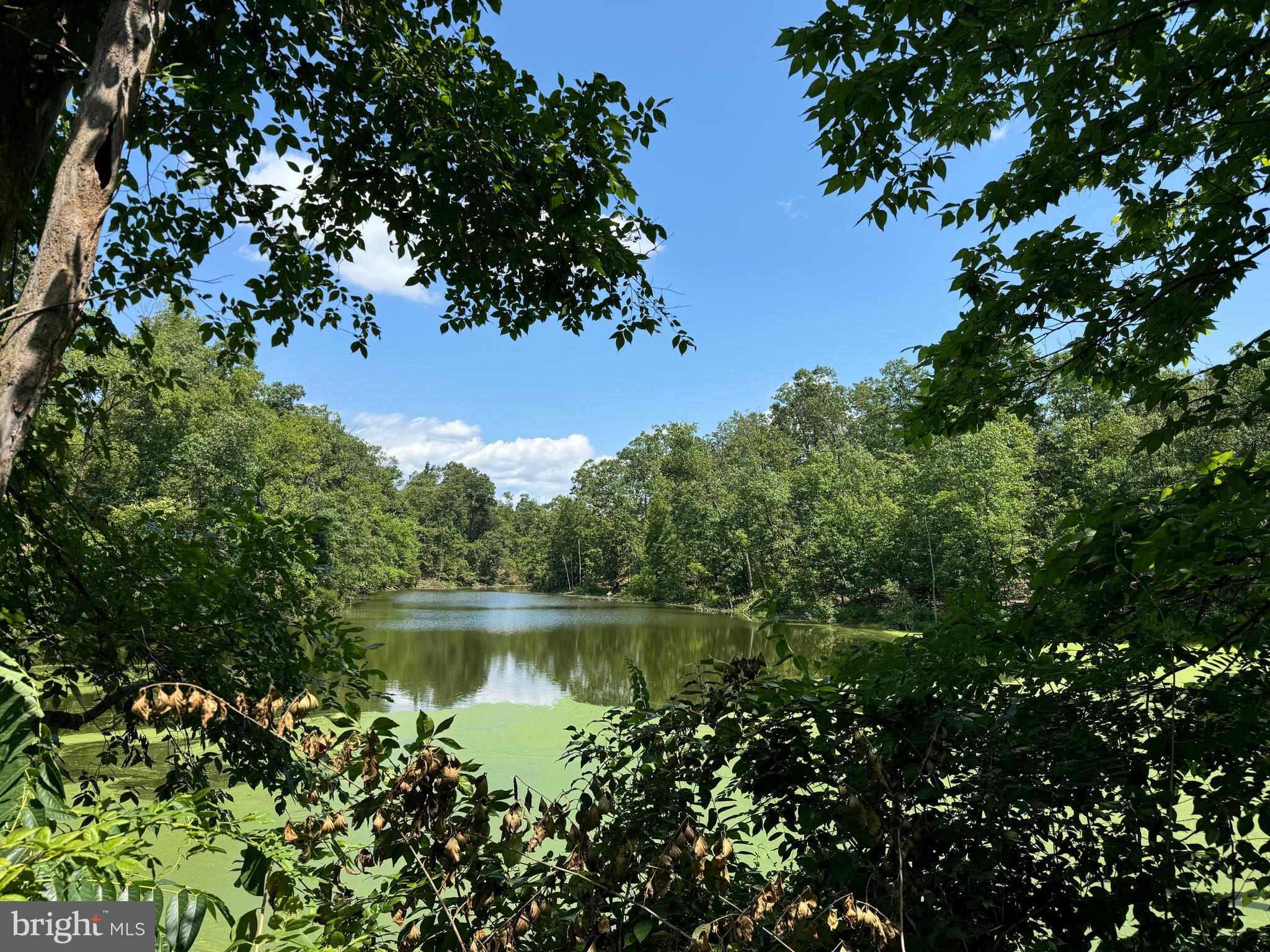 34 /- Acres Warm Spring Road Chambersburg, PA 17202 - Photo 40 of 94