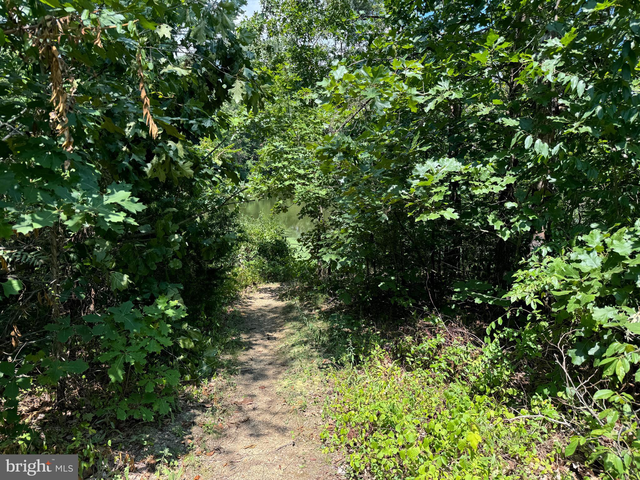 34 /- Acres Warm Spring Road Chambersburg, PA 17202 - Photo 41 of 94