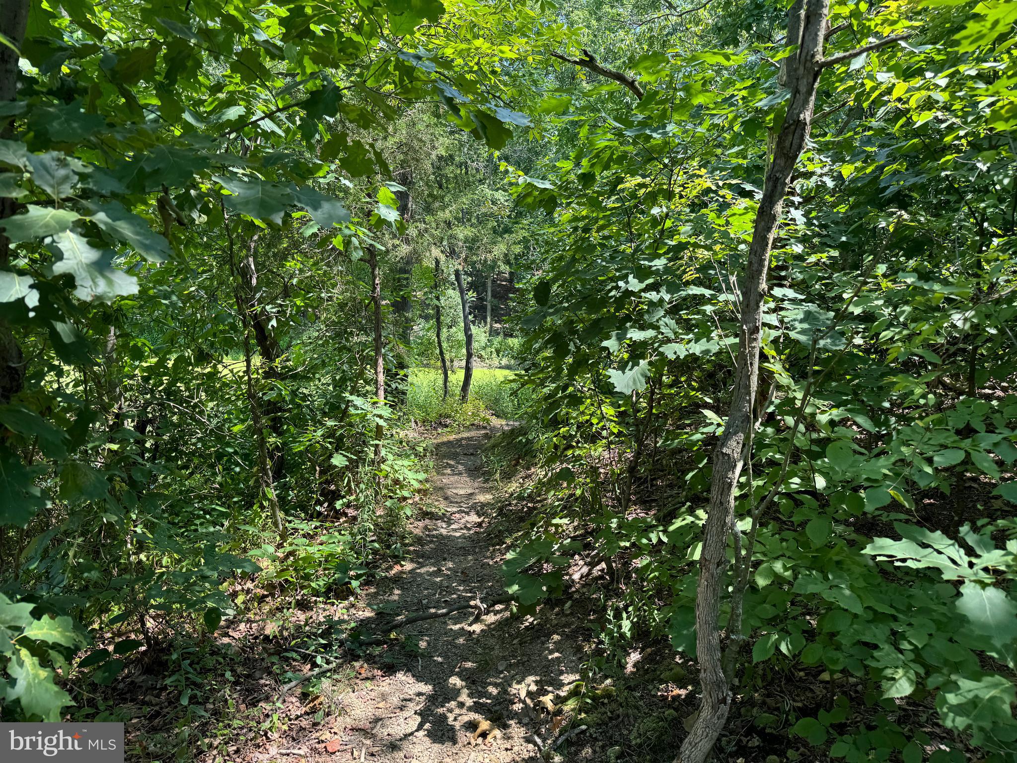 34 /- Acres Warm Spring Road Chambersburg, PA 17202 - Photo 43 of 94