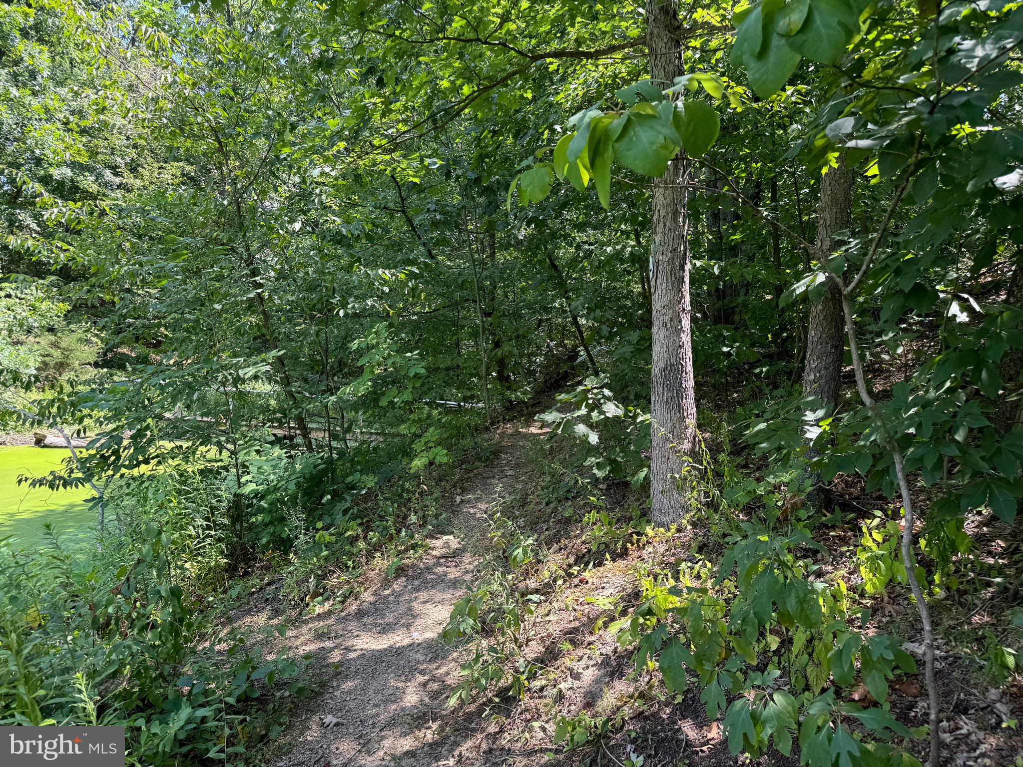 34 /- Acres Warm Spring Road Chambersburg, PA 17202 - Photo 44 of 94