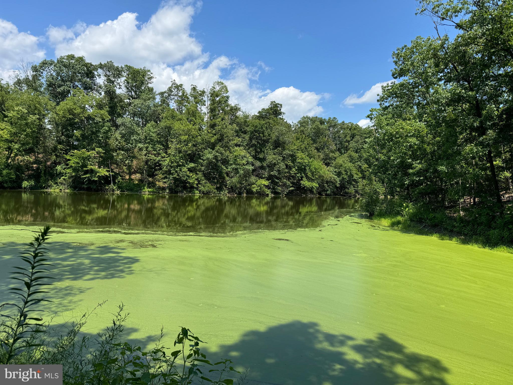 34 /- Acres Warm Spring Road Chambersburg, PA 17202 - Photo 45 of 94