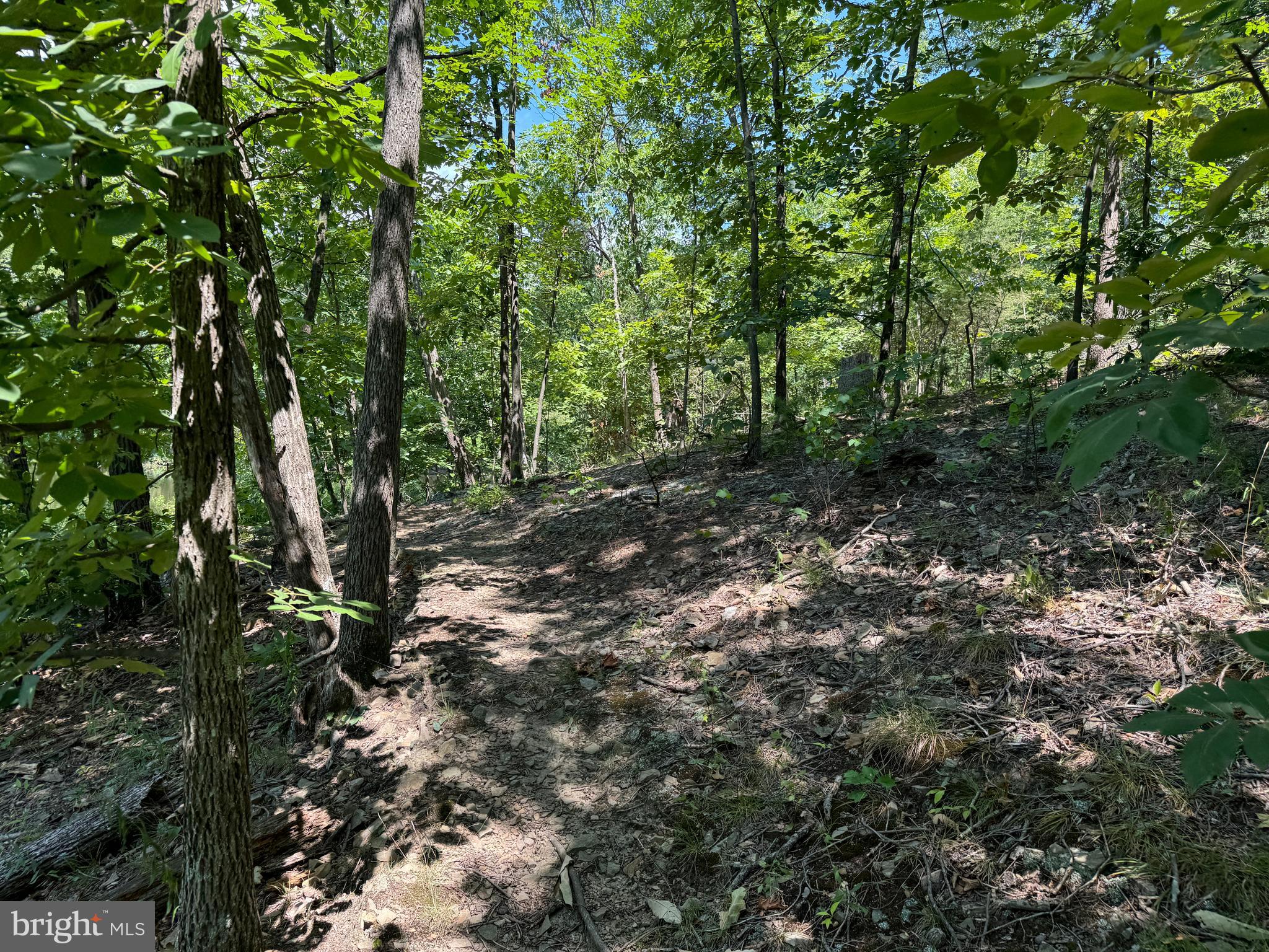 34 /- Acres Warm Spring Road Chambersburg, PA 17202 - Photo 48 of 94