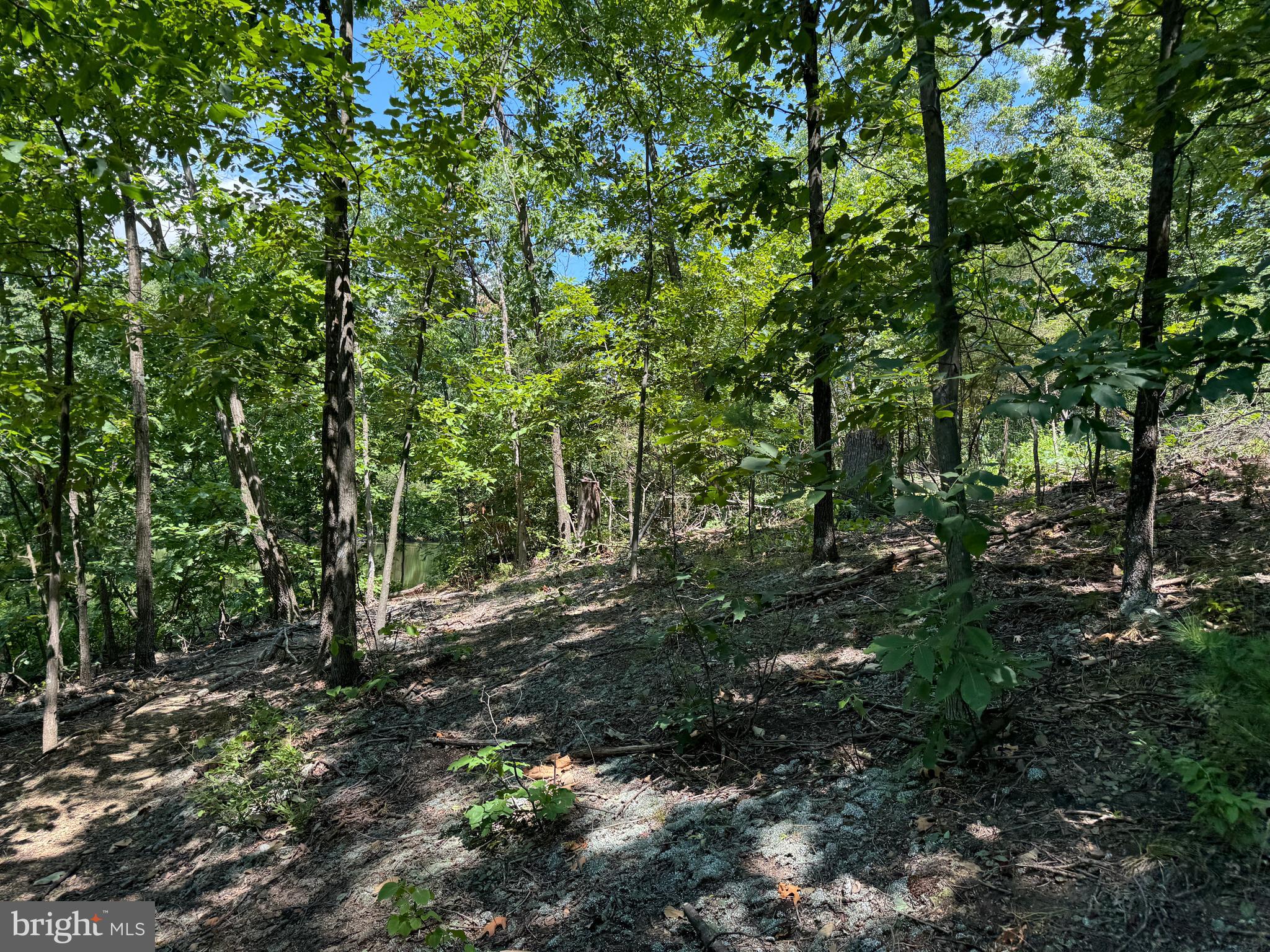 34 /- Acres Warm Spring Road Chambersburg, PA 17202 - Photo 49 of 94