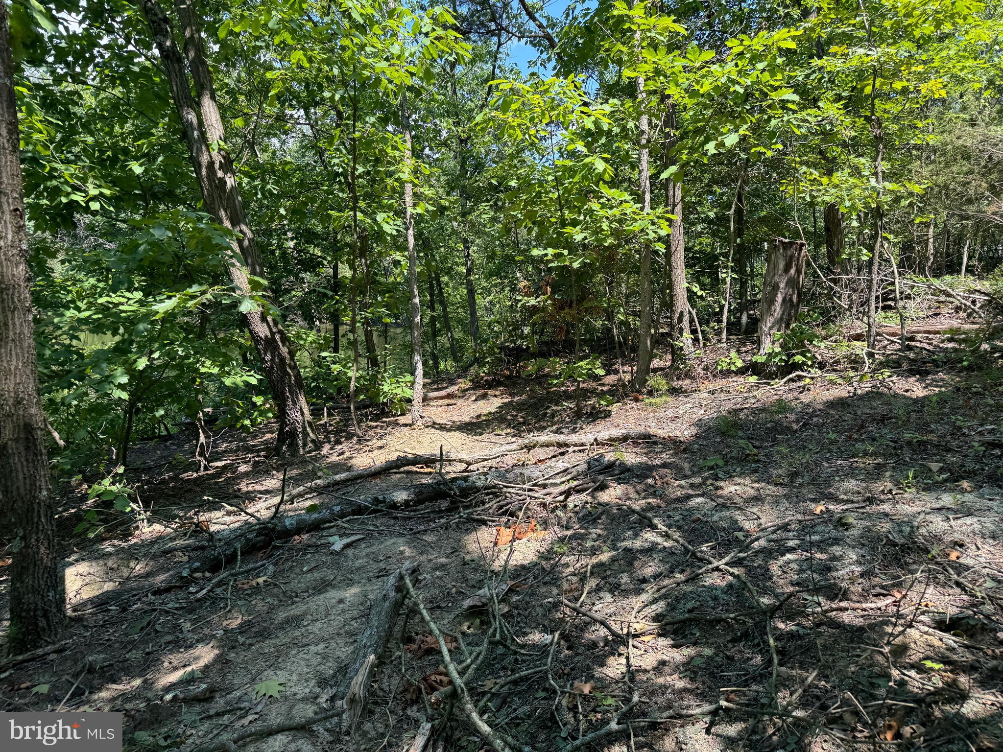 34 /- Acres Warm Spring Road Chambersburg, PA 17202 - Photo 51 of 94