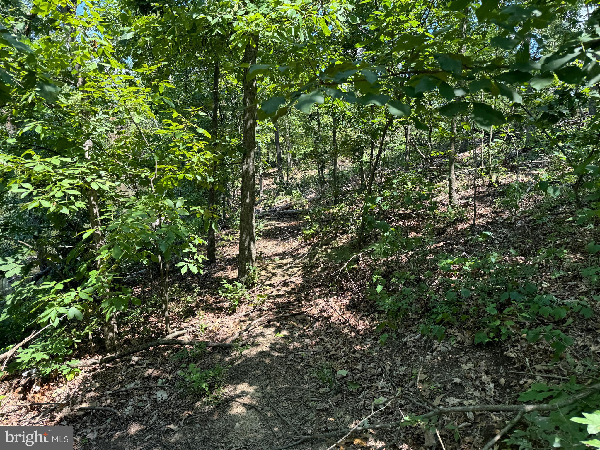 34 /- Acres Warm Spring Road Chambersburg, PA 17202 - Photo 61 of 94