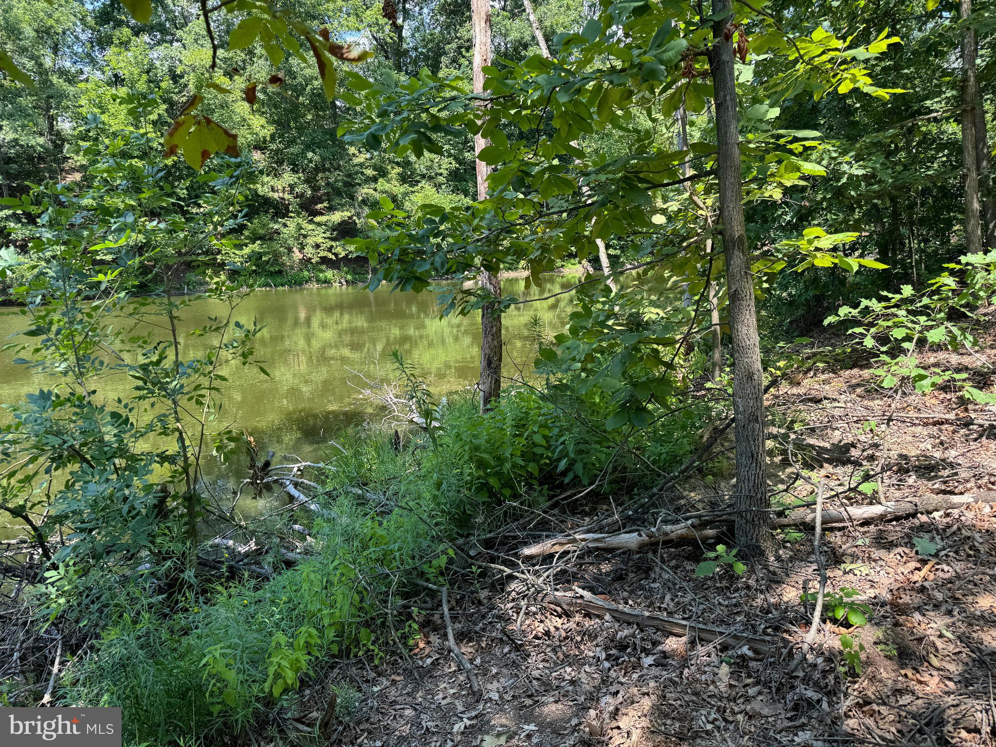 34 /- Acres Warm Spring Road Chambersburg, PA 17202 - Photo 64 of 94
