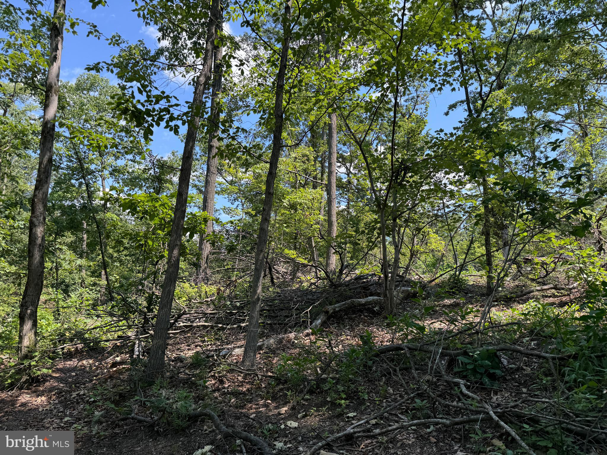34 /- Acres Warm Spring Road Chambersburg, PA 17202 - Photo 65 of 94
