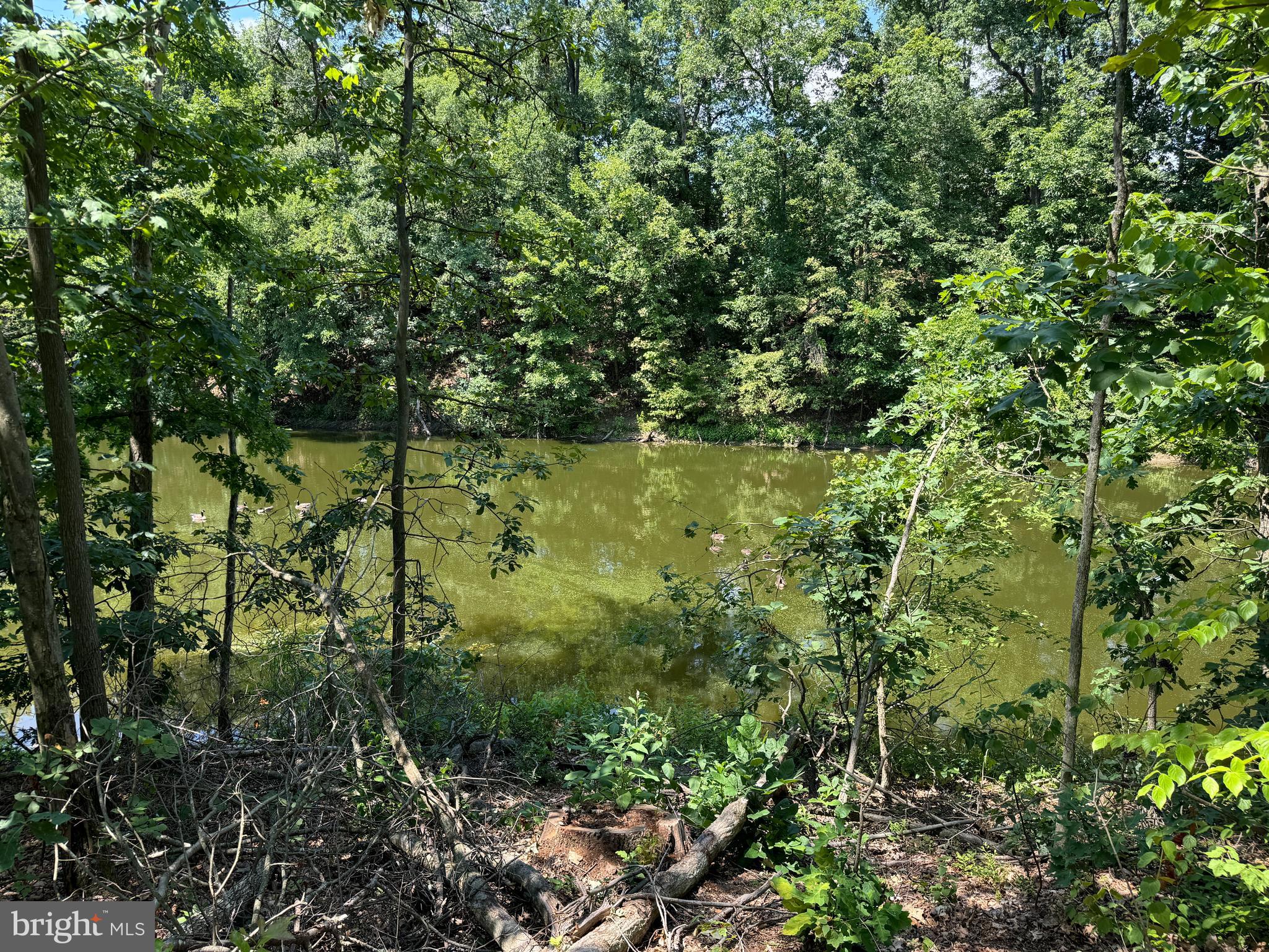 34 /- Acres Warm Spring Road Chambersburg, PA 17202 - Photo 66 of 94