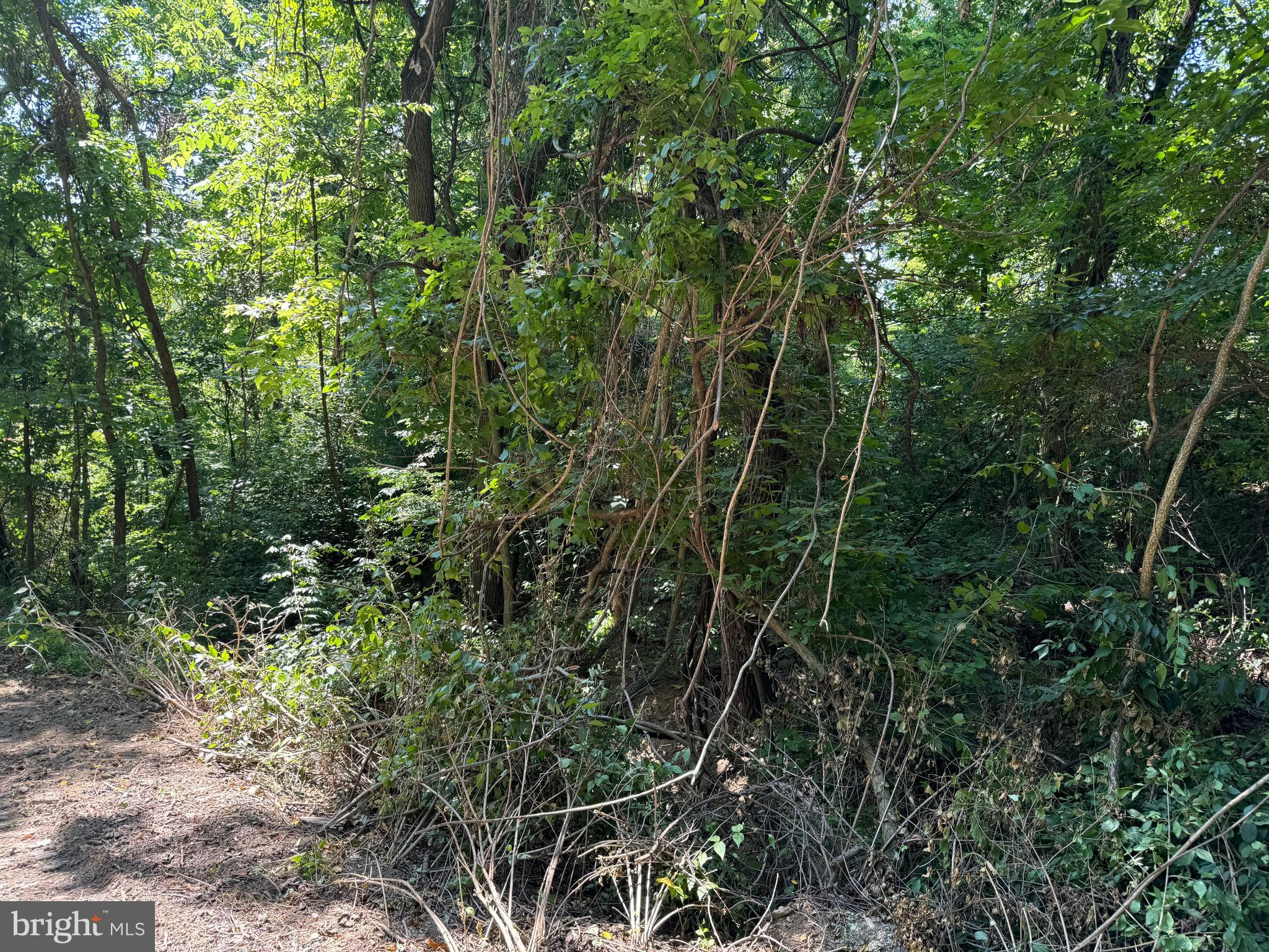 34 /- Acres Warm Spring Road Chambersburg, PA 17202 - Photo 68 of 94