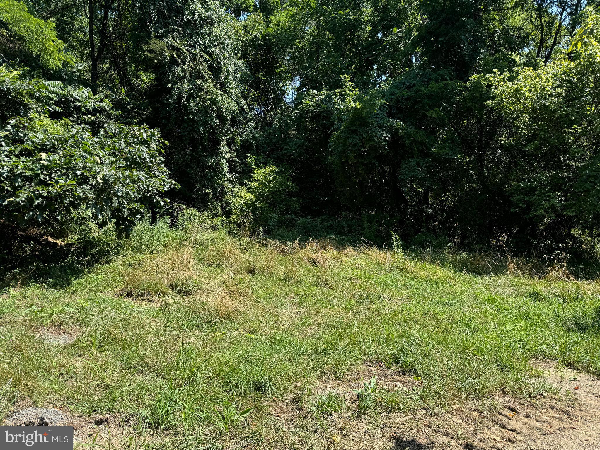 34 /- Acres Warm Spring Road Chambersburg, PA 17202 - Photo 73 of 94