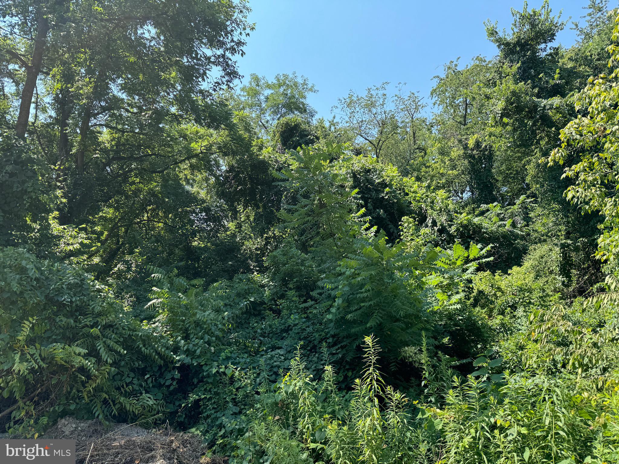 34 /- Acres Warm Spring Road Chambersburg, PA 17202 - Photo 75 of 94