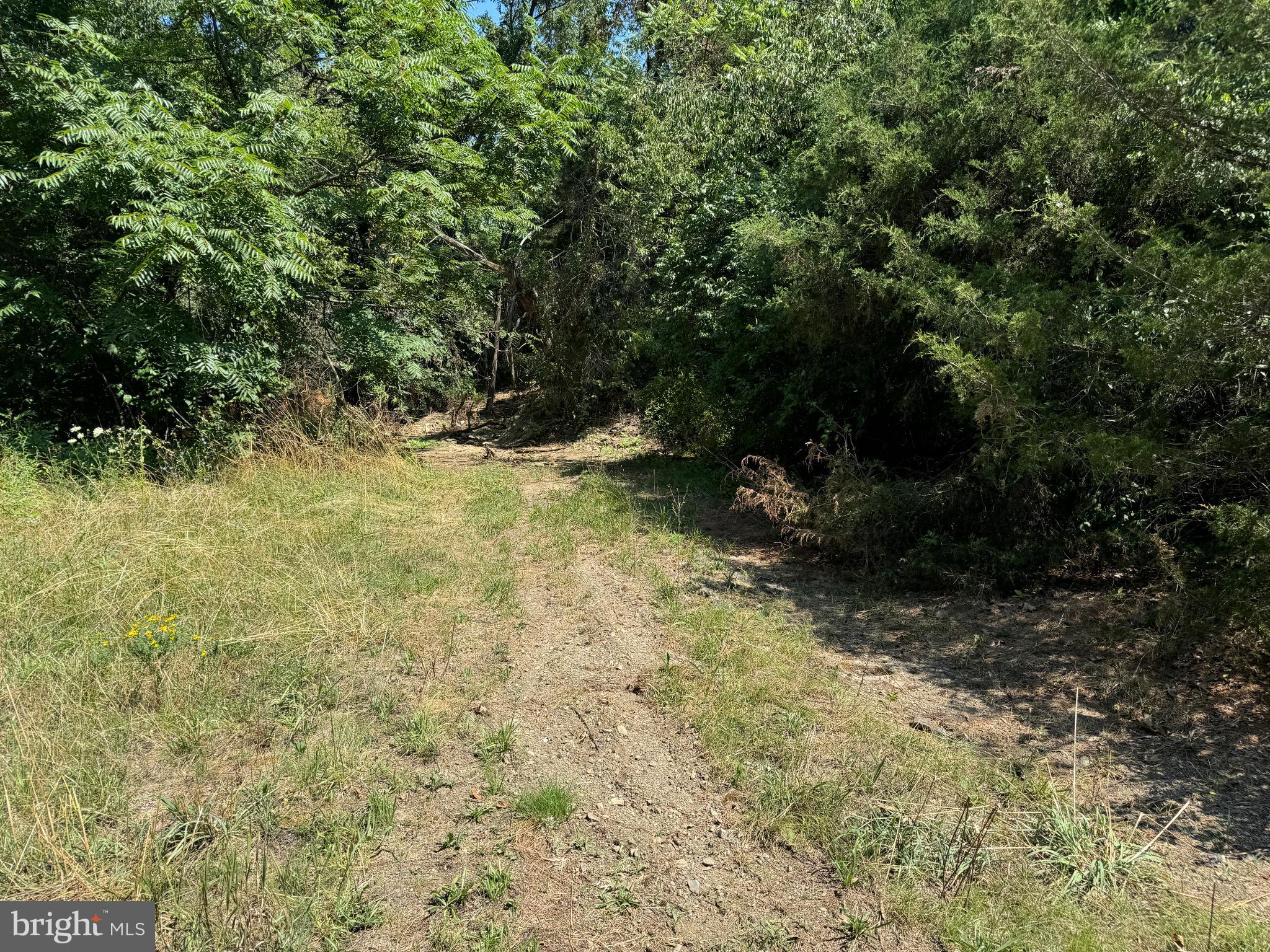 34 /- Acres Warm Spring Road Chambersburg, PA 17202 - Photo 76 of 94