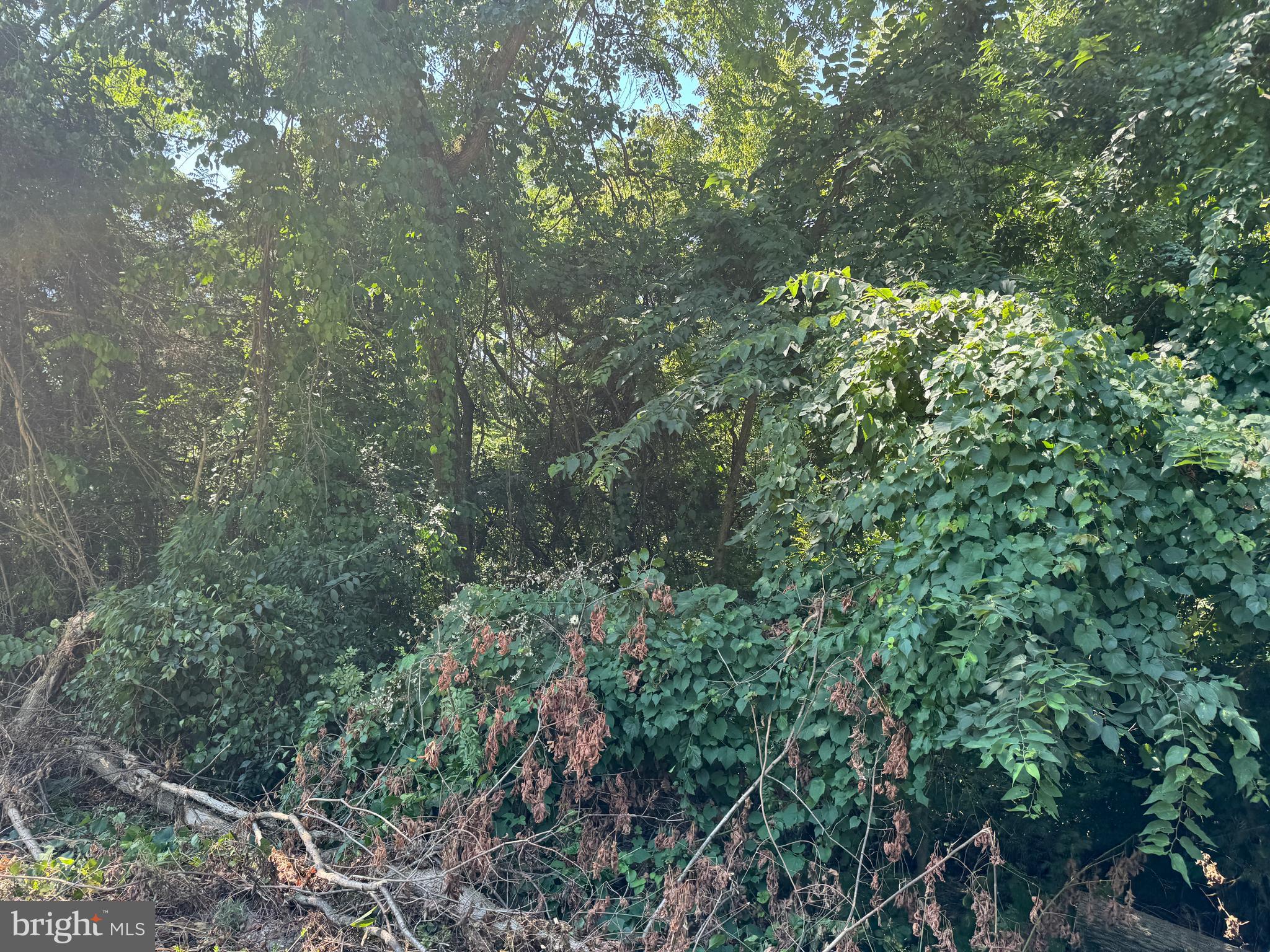 34 /- Acres Warm Spring Road Chambersburg, PA 17202 - Photo 77 of 94