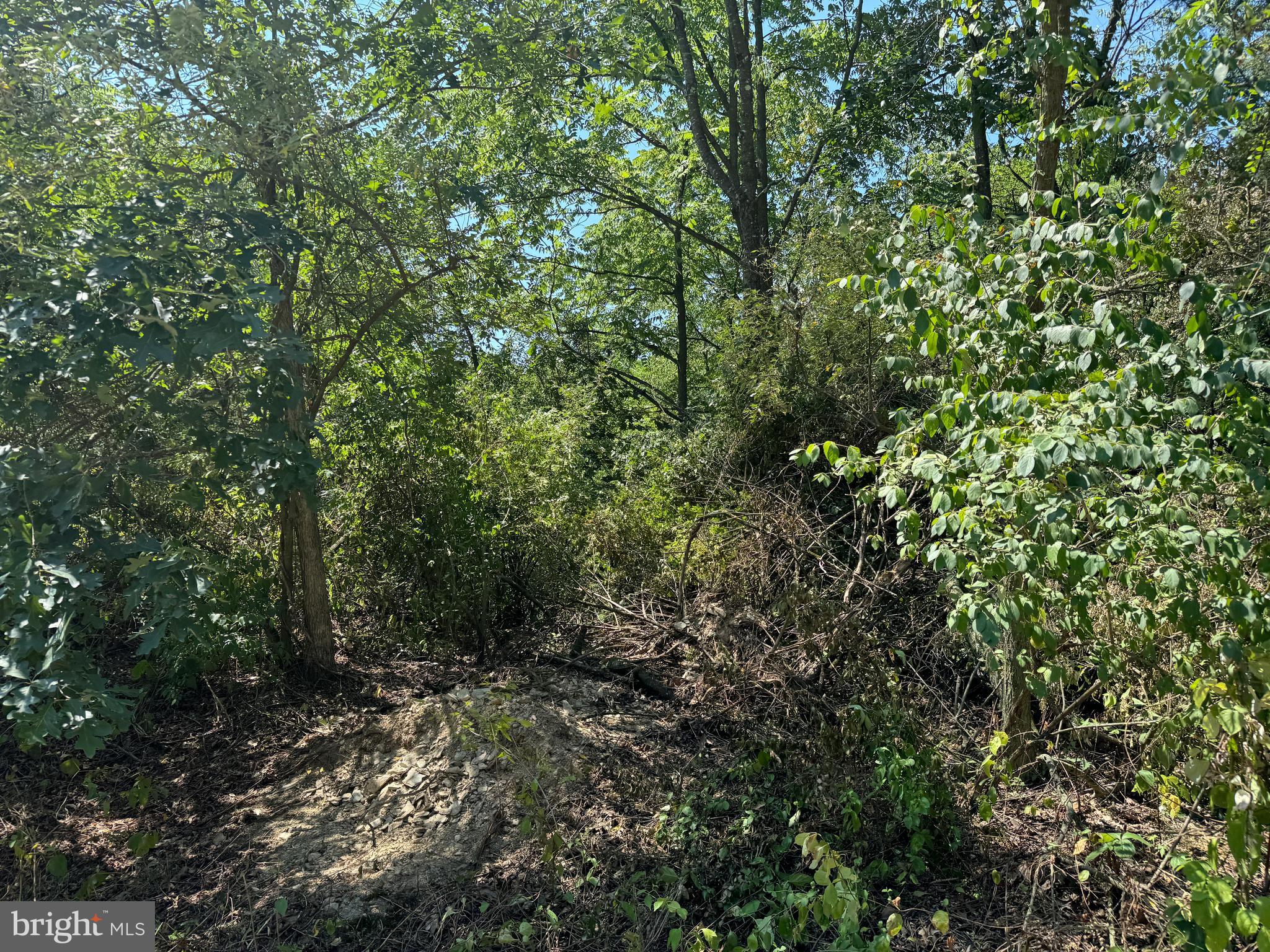 34 /- Acres Warm Spring Road Chambersburg, PA 17202 - Photo 80 of 94