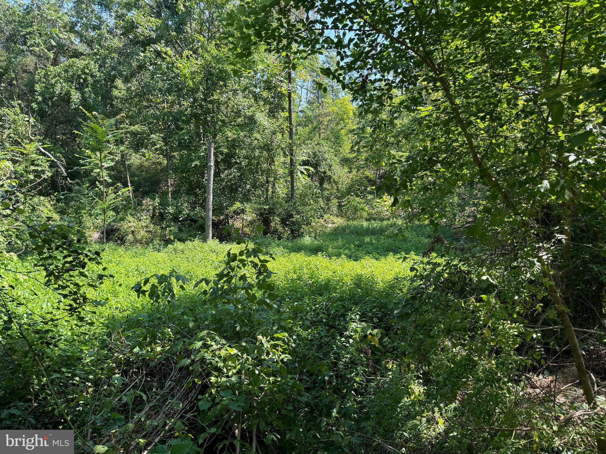 34 /- Acres Warm Spring Road Chambersburg, PA 17202 - Photo 84 of 94