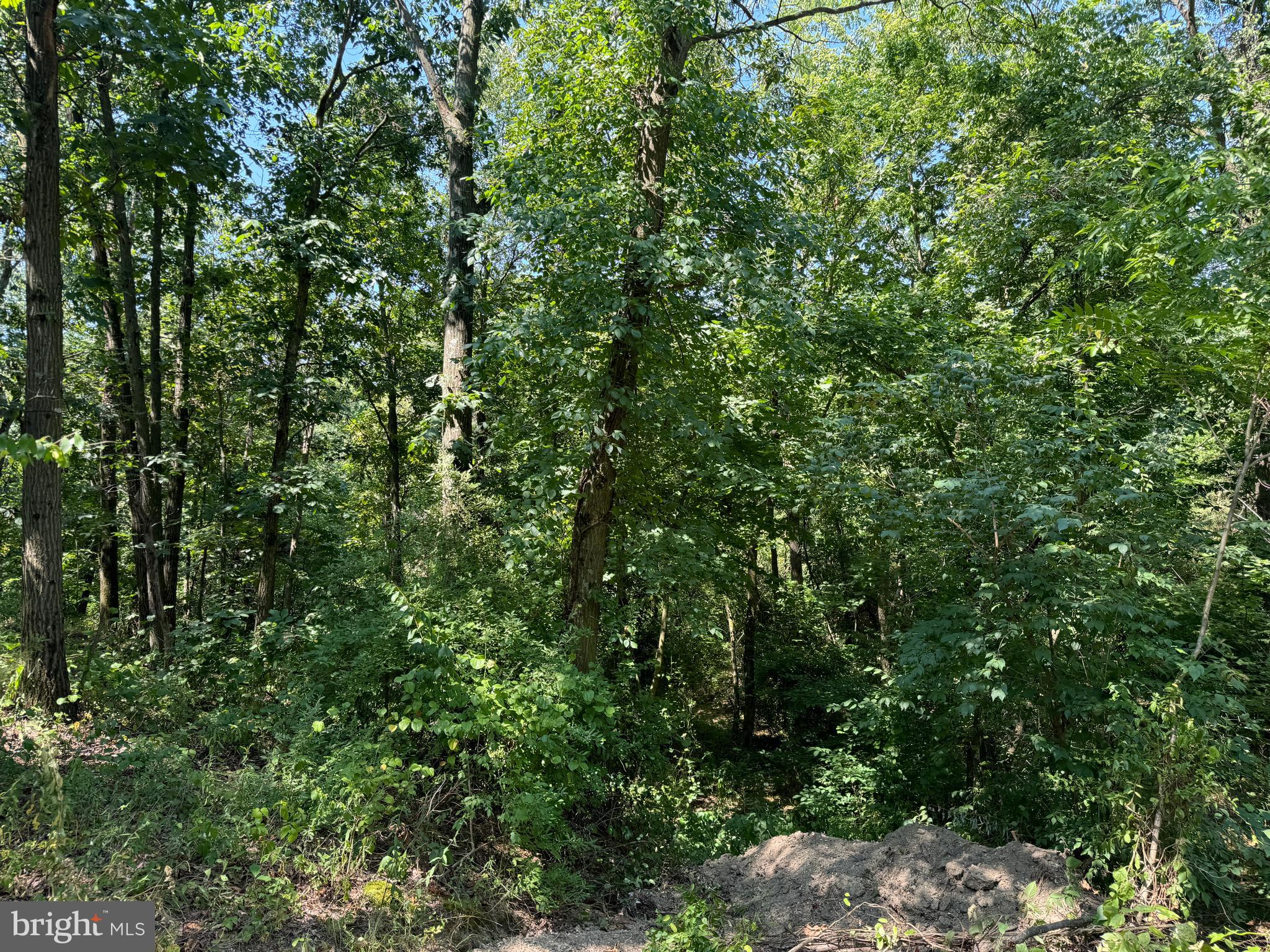 34 /- Acres Warm Spring Road Chambersburg, PA 17202 - Photo 85 of 94