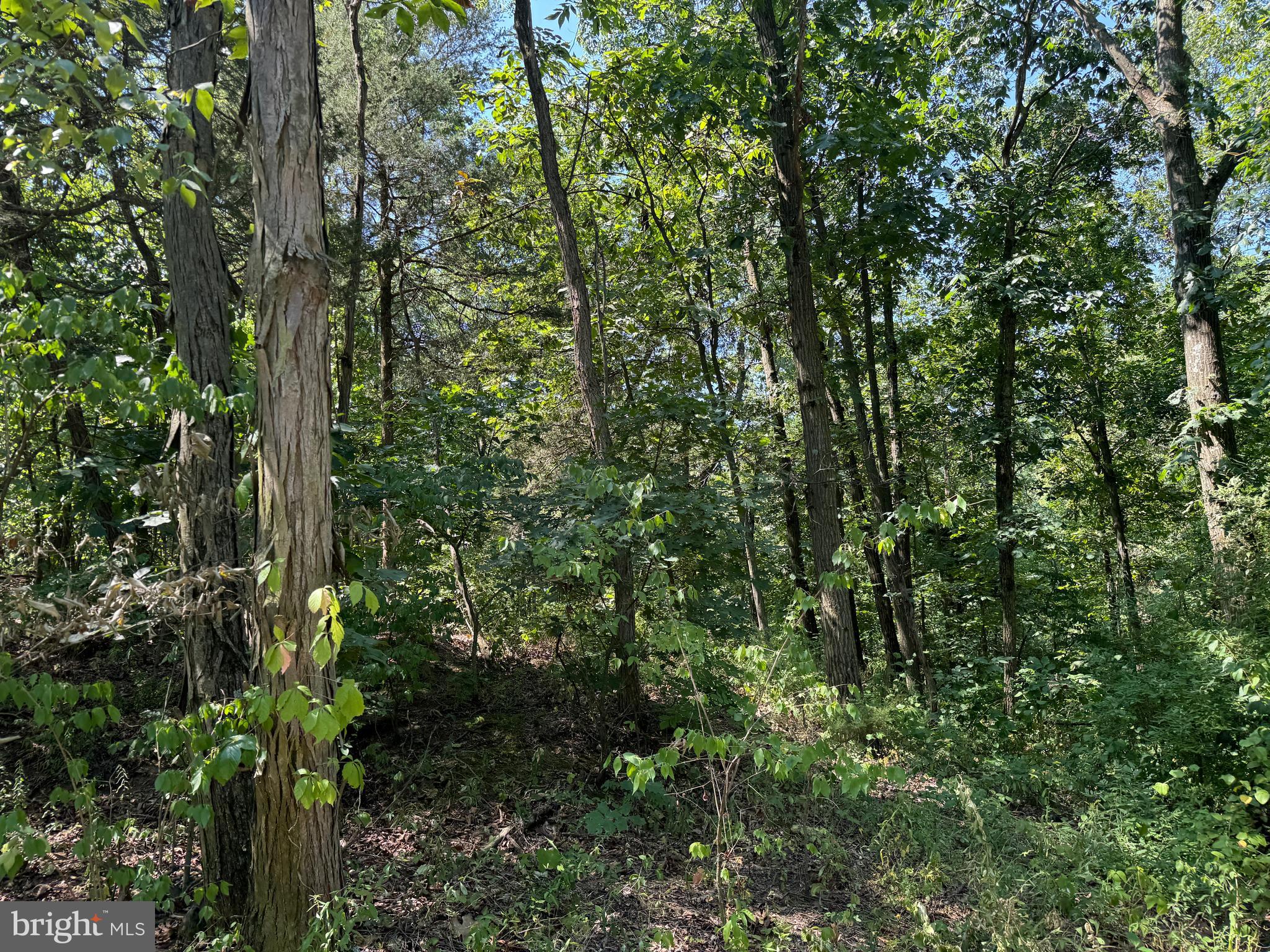 34 /- Acres Warm Spring Road Chambersburg, PA 17202 - Photo 86 of 94