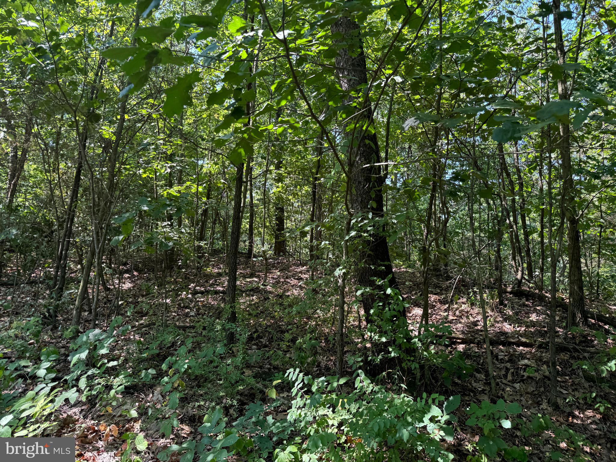 34 /- Acres Warm Spring Road Chambersburg, PA 17202 - Photo 87 of 94