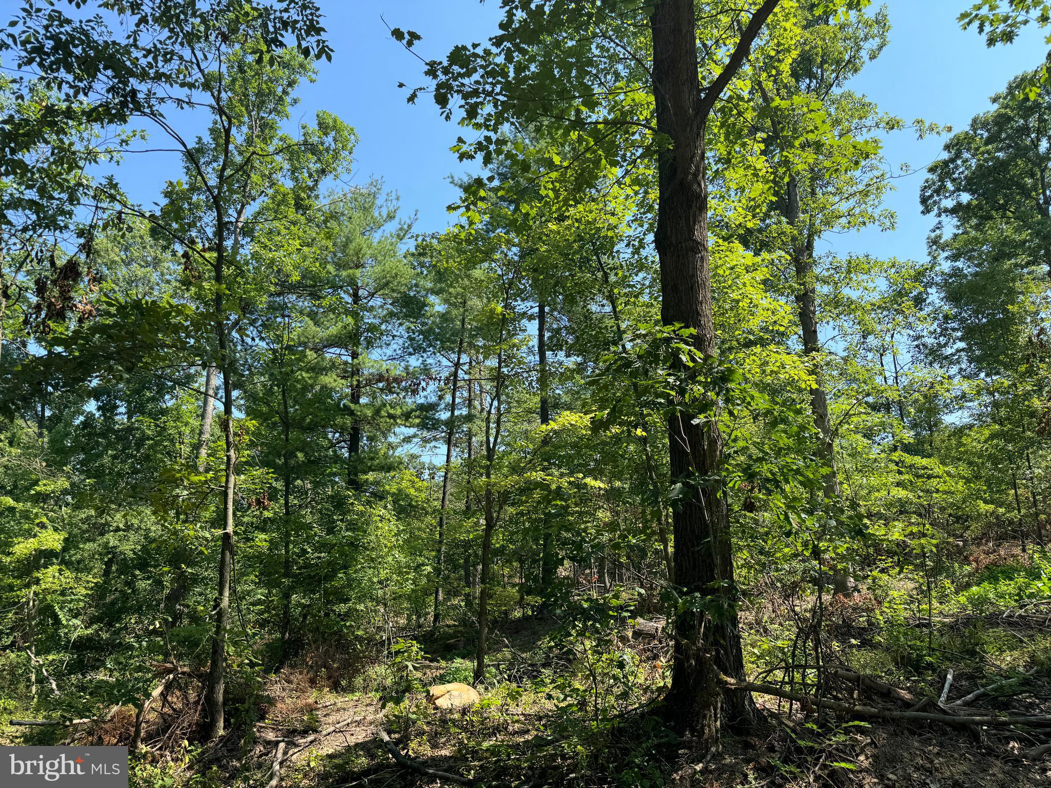 34 /- Acres Warm Spring Road Chambersburg, PA 17202 - Photo 88 of 94